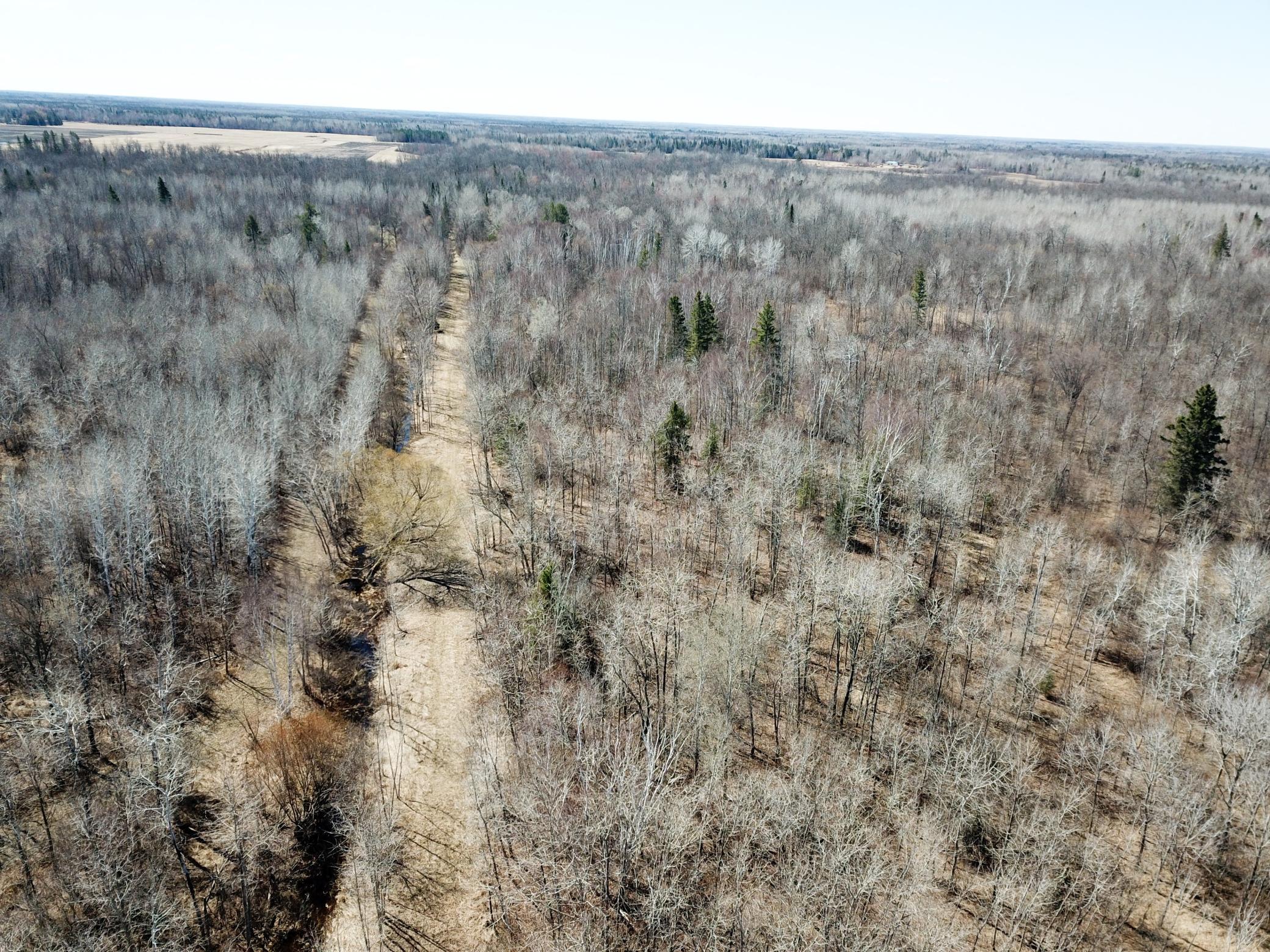 TBD Cormorant Road NE, Kelliher MN 56650 - Photo 12 of 76