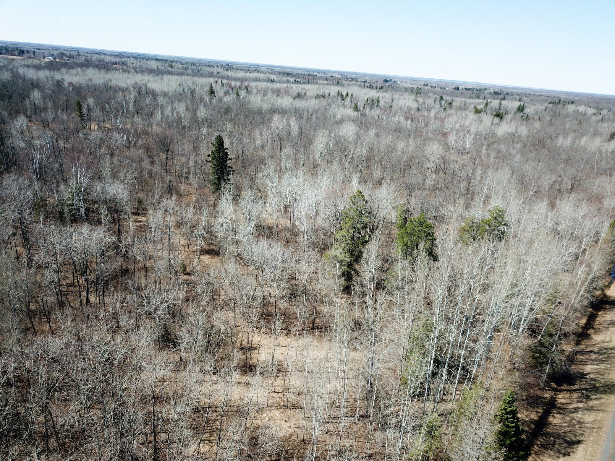 TBD Cormorant Road NE, Kelliher MN 56650 - Photo 13 of 76