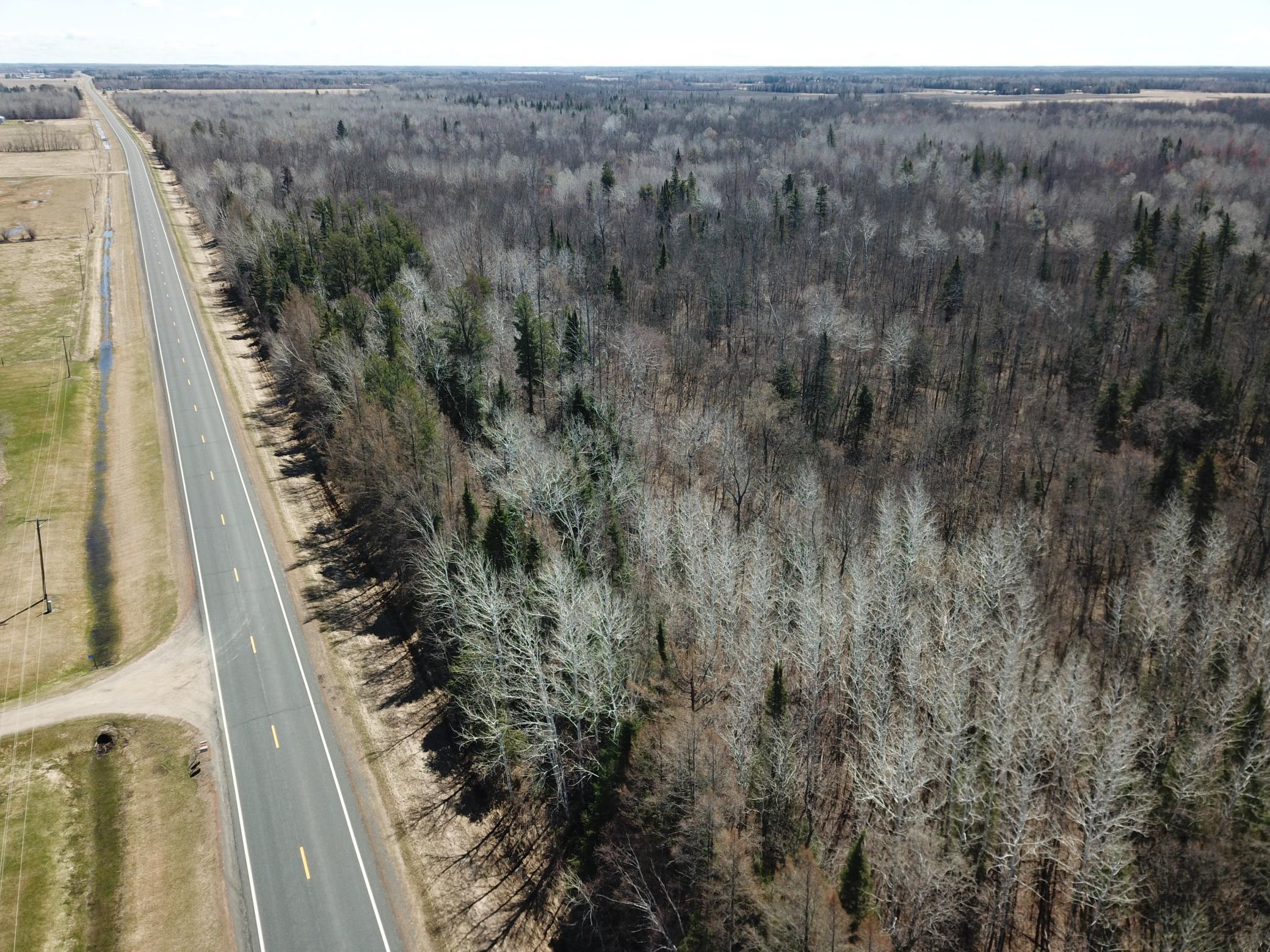 TBD Cormorant Road NE, Kelliher MN 56650 - Photo 16 of 76