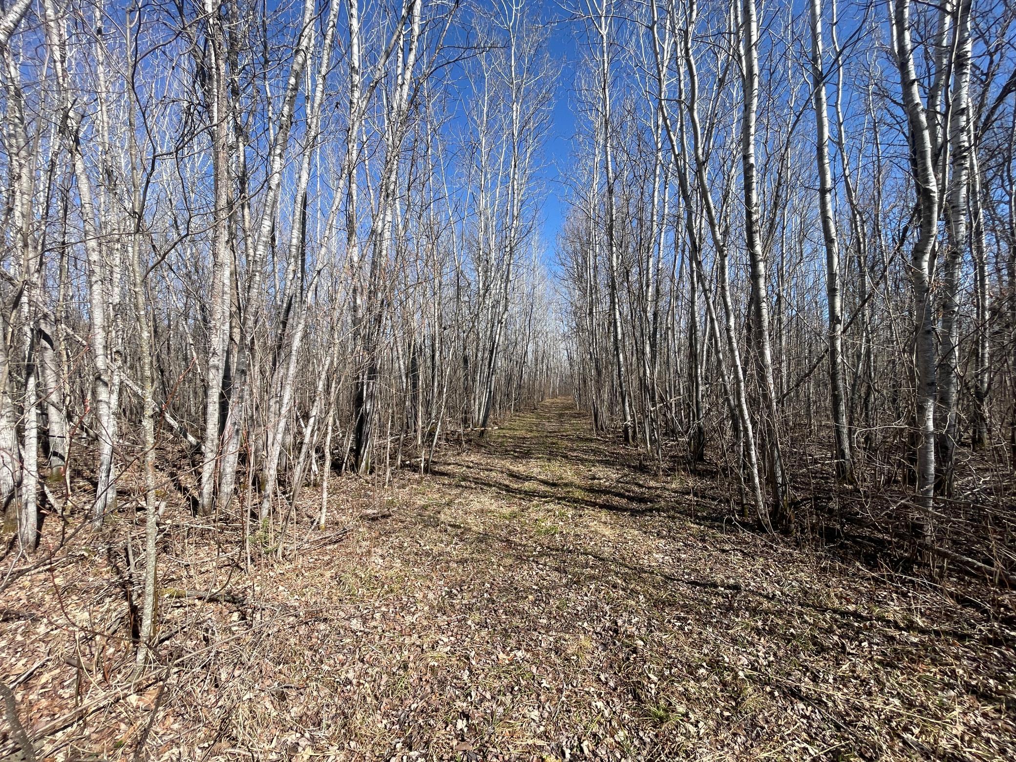 TBD Cormorant Road NE, Kelliher MN 56650 - Photo 23 of 76