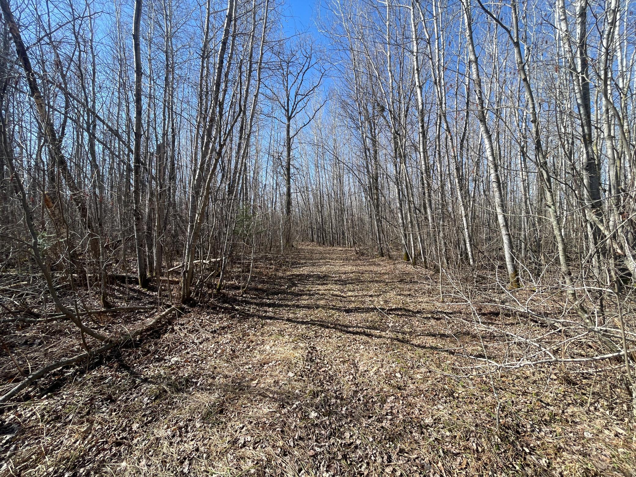 TBD Cormorant Road NE, Kelliher MN 56650 - Photo 24 of 76