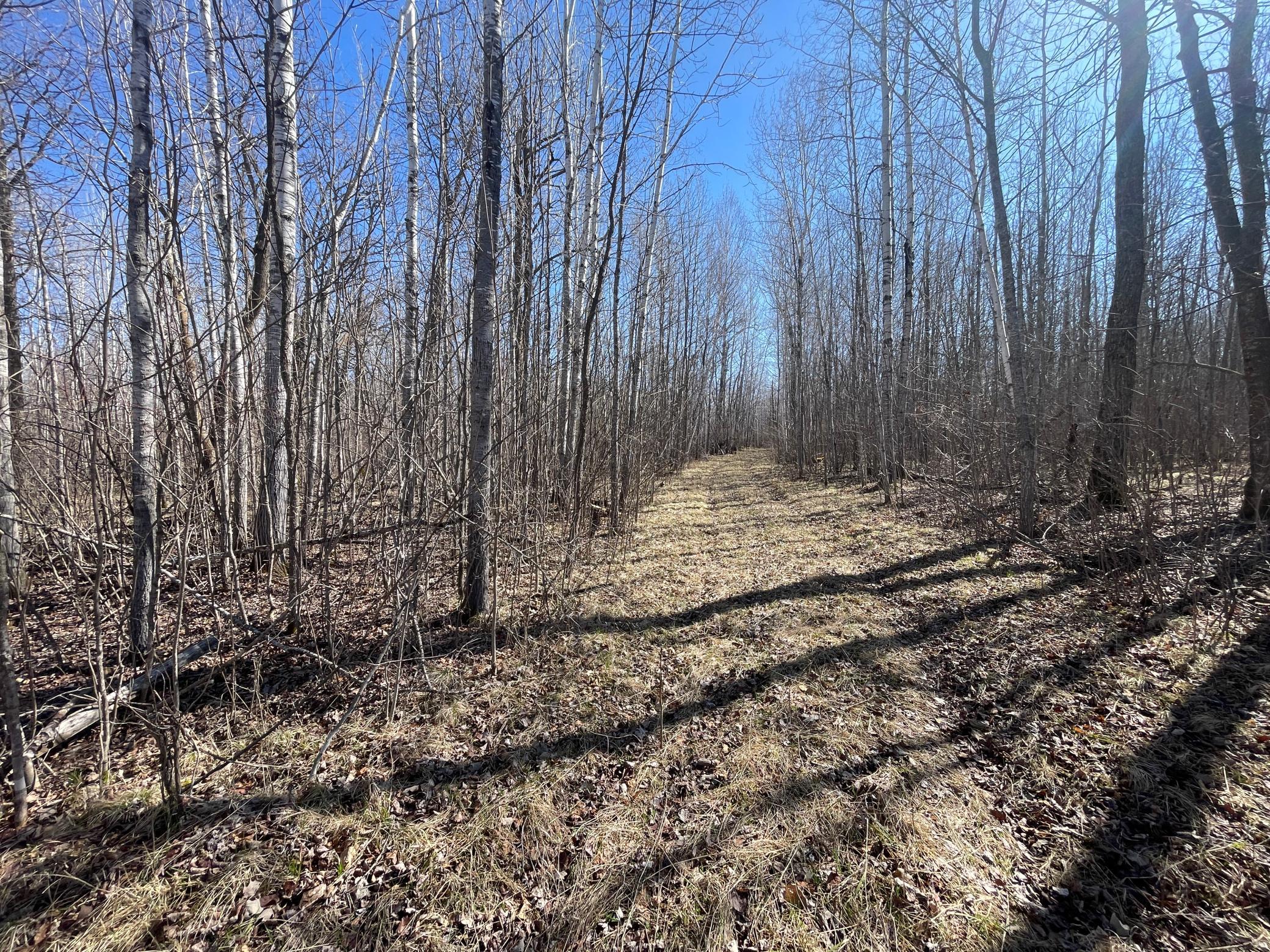 TBD Cormorant Road NE, Kelliher MN 56650 - Photo 26 of 76
