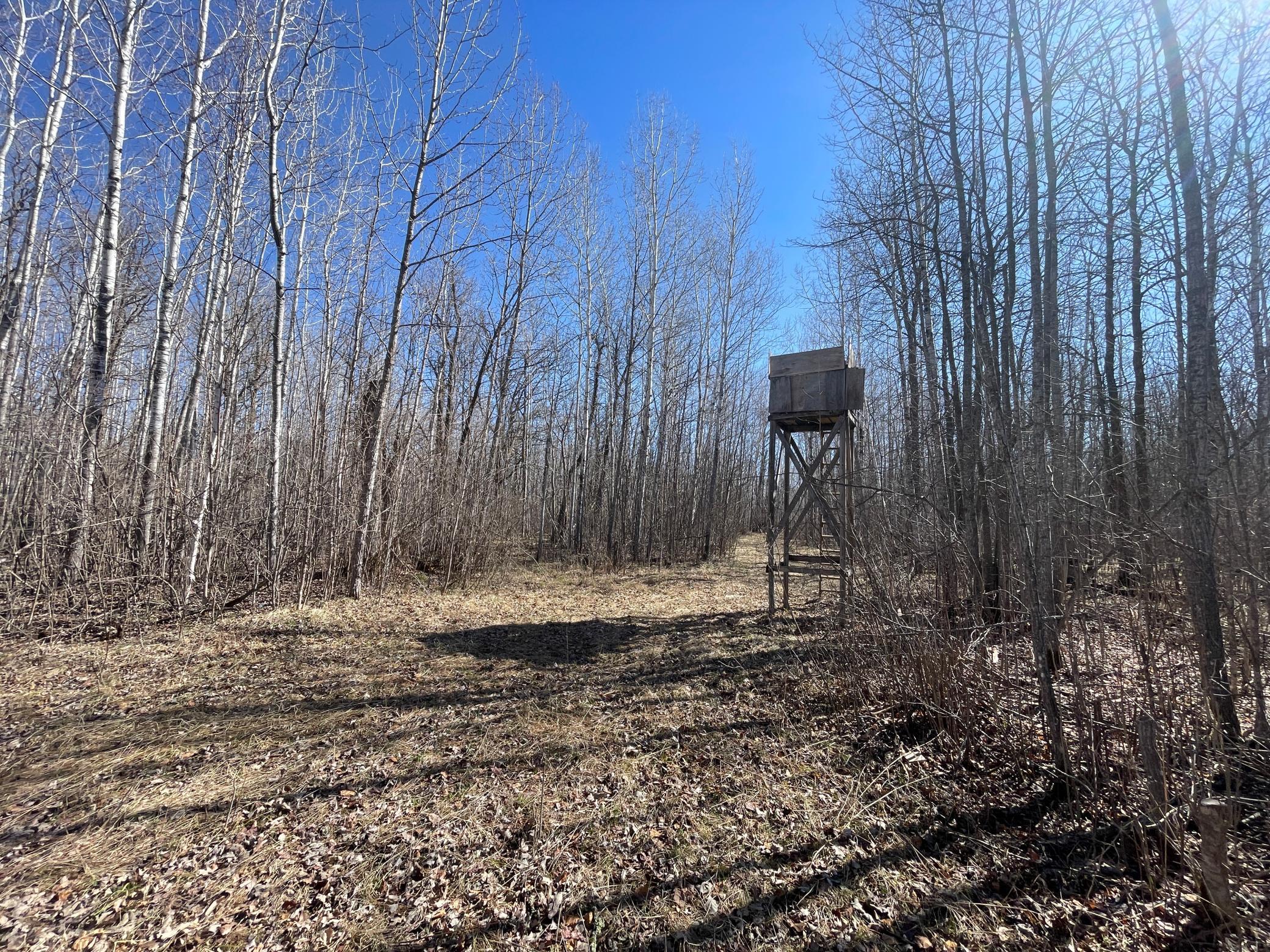 TBD Cormorant Road NE, Kelliher MN 56650 - Photo 27 of 76