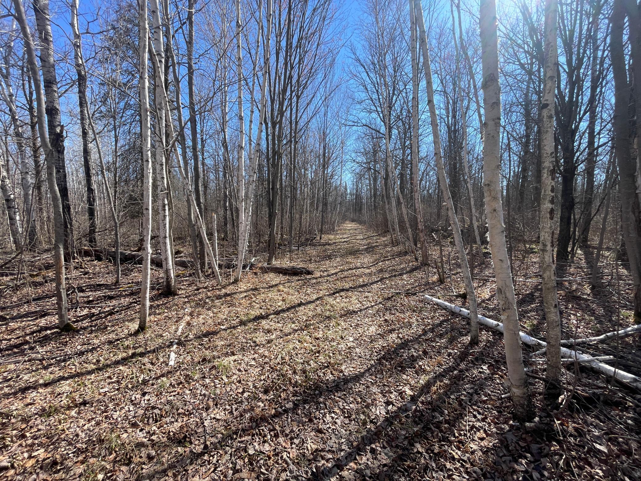 TBD Cormorant Road NE, Kelliher MN 56650 - Photo 33 of 76