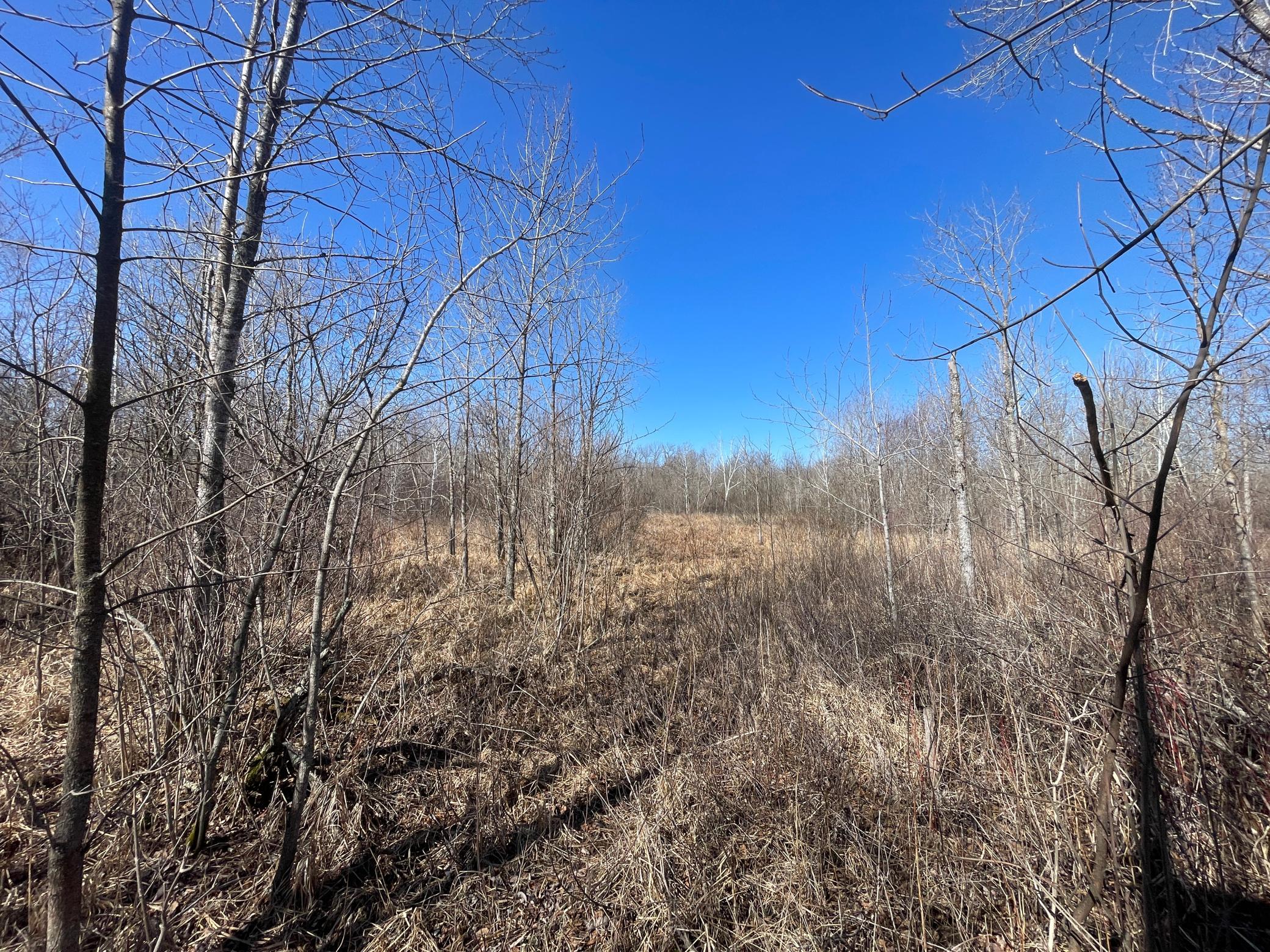 TBD Cormorant Road NE, Kelliher MN 56650 - Photo 37 of 76