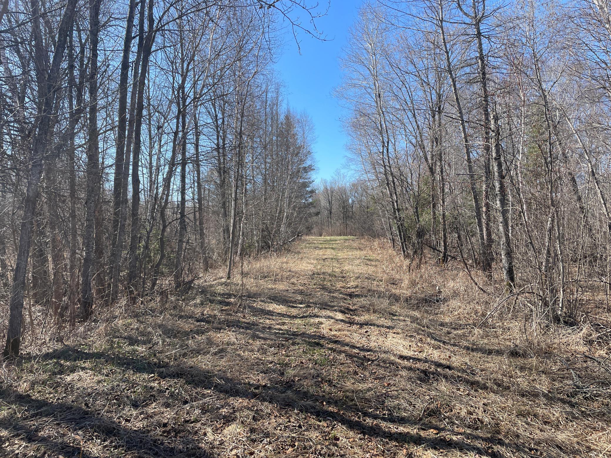 TBD Cormorant Road NE, Kelliher MN 56650 - Photo 38 of 76
