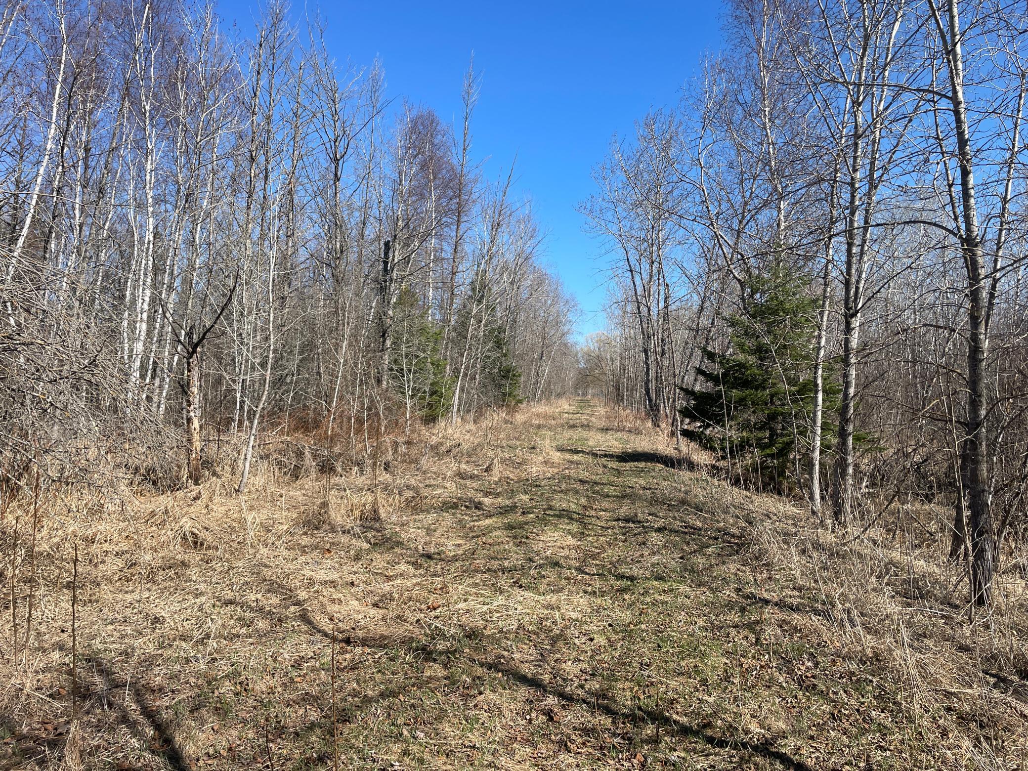 TBD Cormorant Road NE, Kelliher MN 56650 - Photo 39 of 76