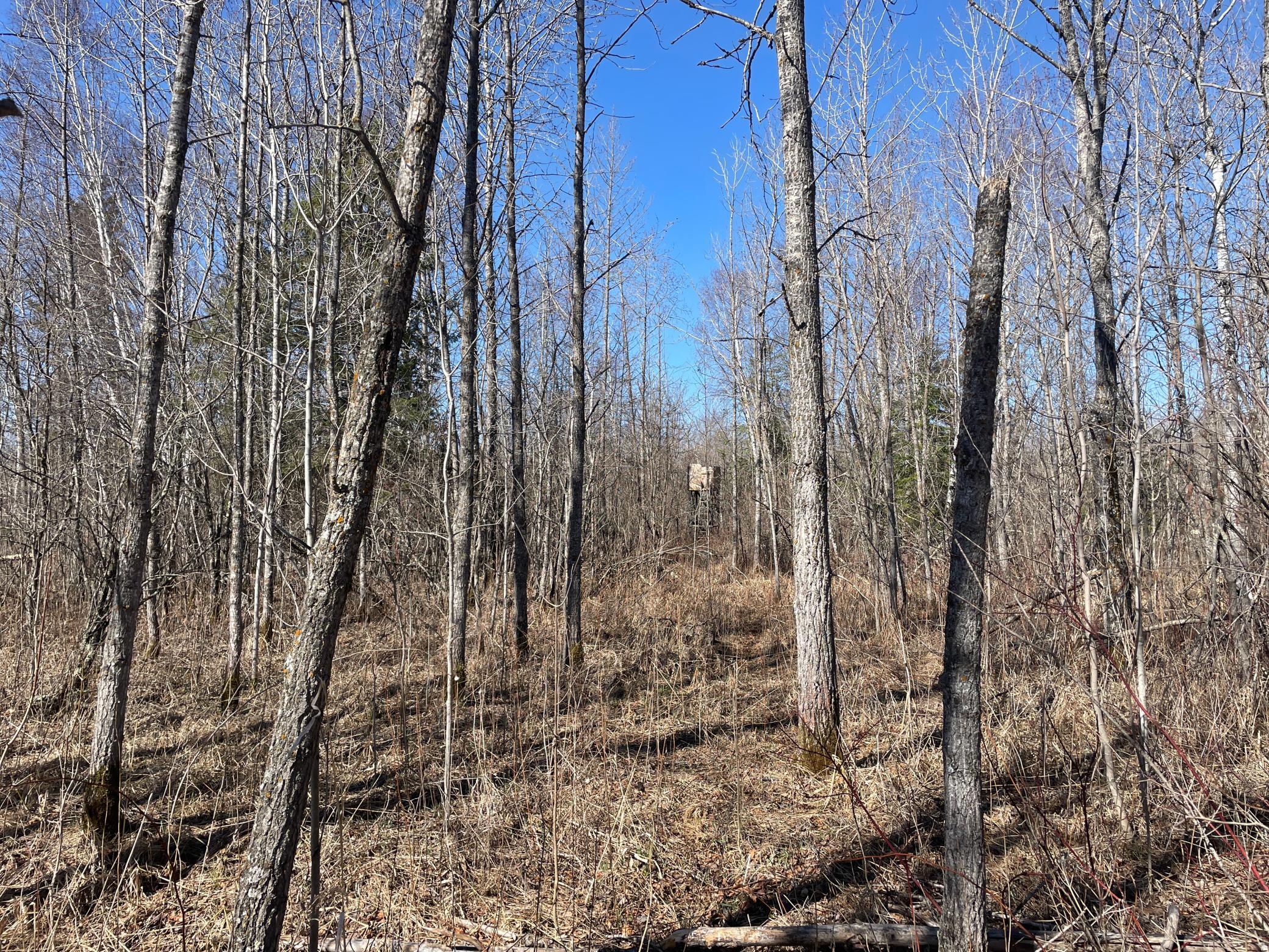 TBD Cormorant Road NE, Kelliher MN 56650 - Photo 41 of 76