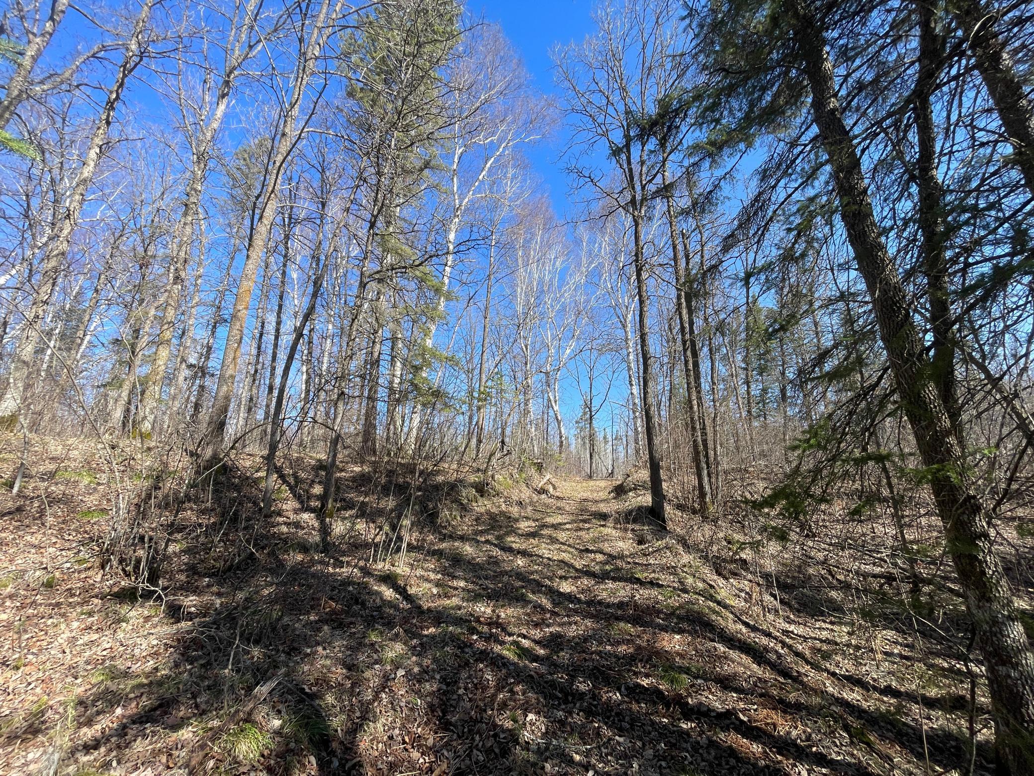 TBD Cormorant Road NE, Kelliher MN 56650 - Photo 47 of 76