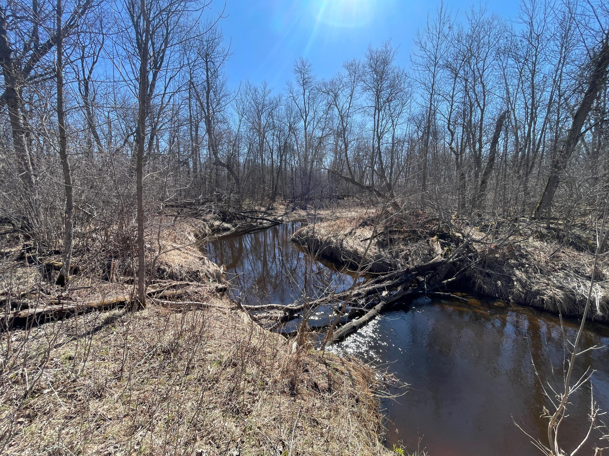 TBD Cormorant Road NE, Kelliher MN 56650 - Photo 48 of 76
