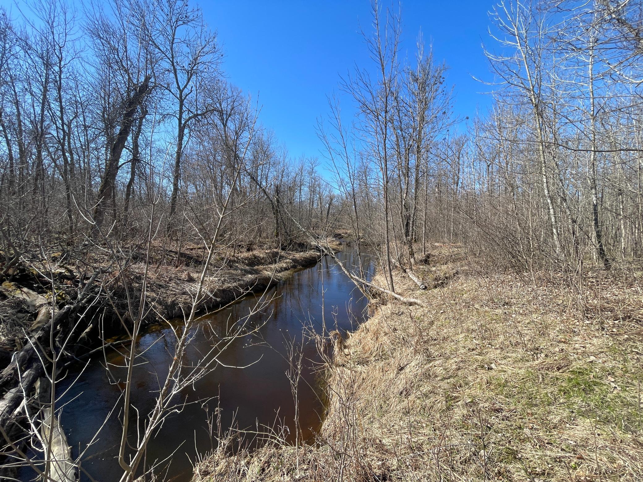 TBD Cormorant Road NE, Kelliher MN 56650 - Photo 49 of 76