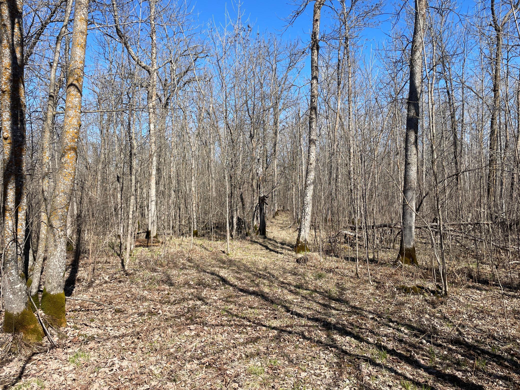 TBD Cormorant Road NE, Kelliher MN 56650 - Photo 54 of 76