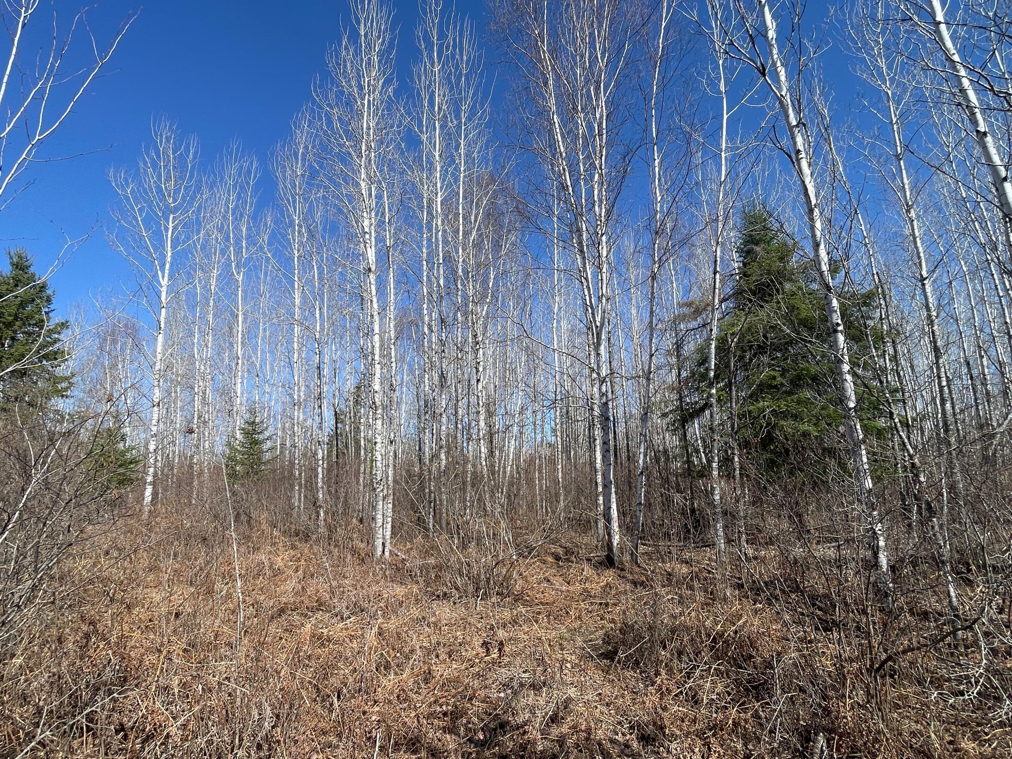 TBD Cormorant Road NE, Kelliher MN 56650 - Photo 55 of 76
