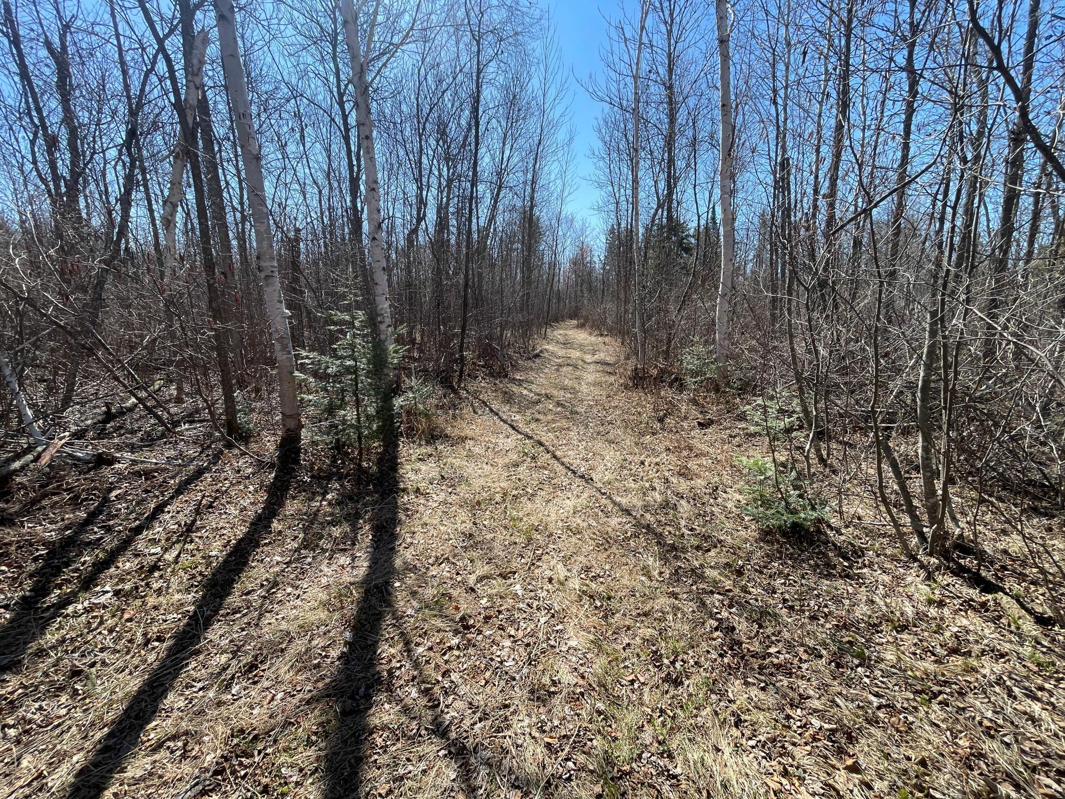 TBD Cormorant Road NE, Kelliher MN 56650 - Photo 60 of 76