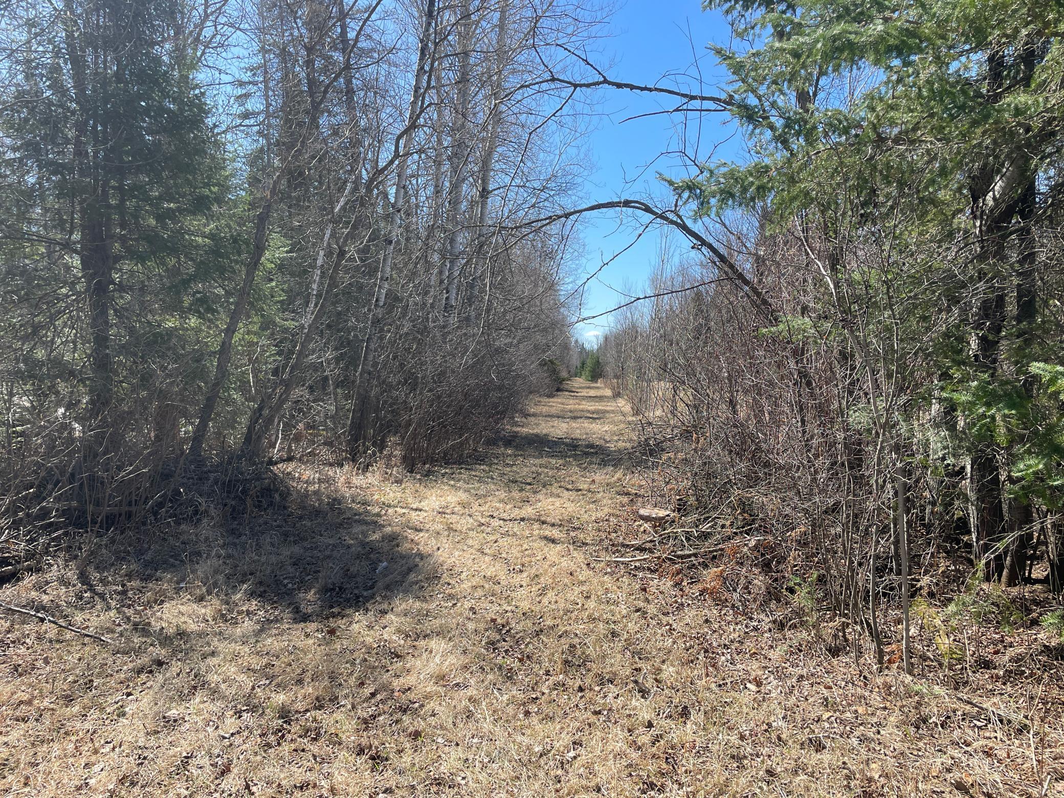 TBD Cormorant Road NE, Kelliher MN 56650 - Photo 62 of 76