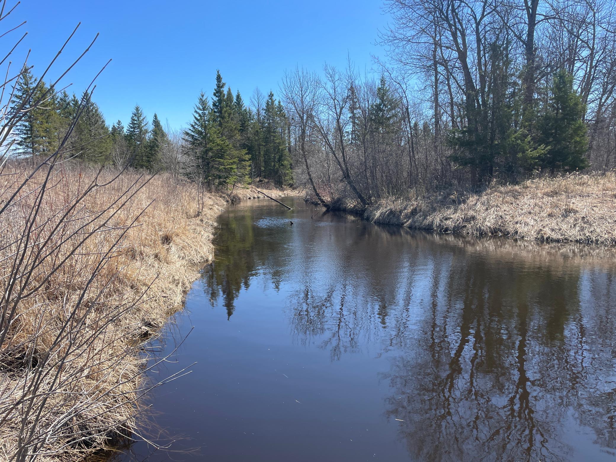 TBD Cormorant Road NE, Kelliher MN 56650 - Photo 66 of 76