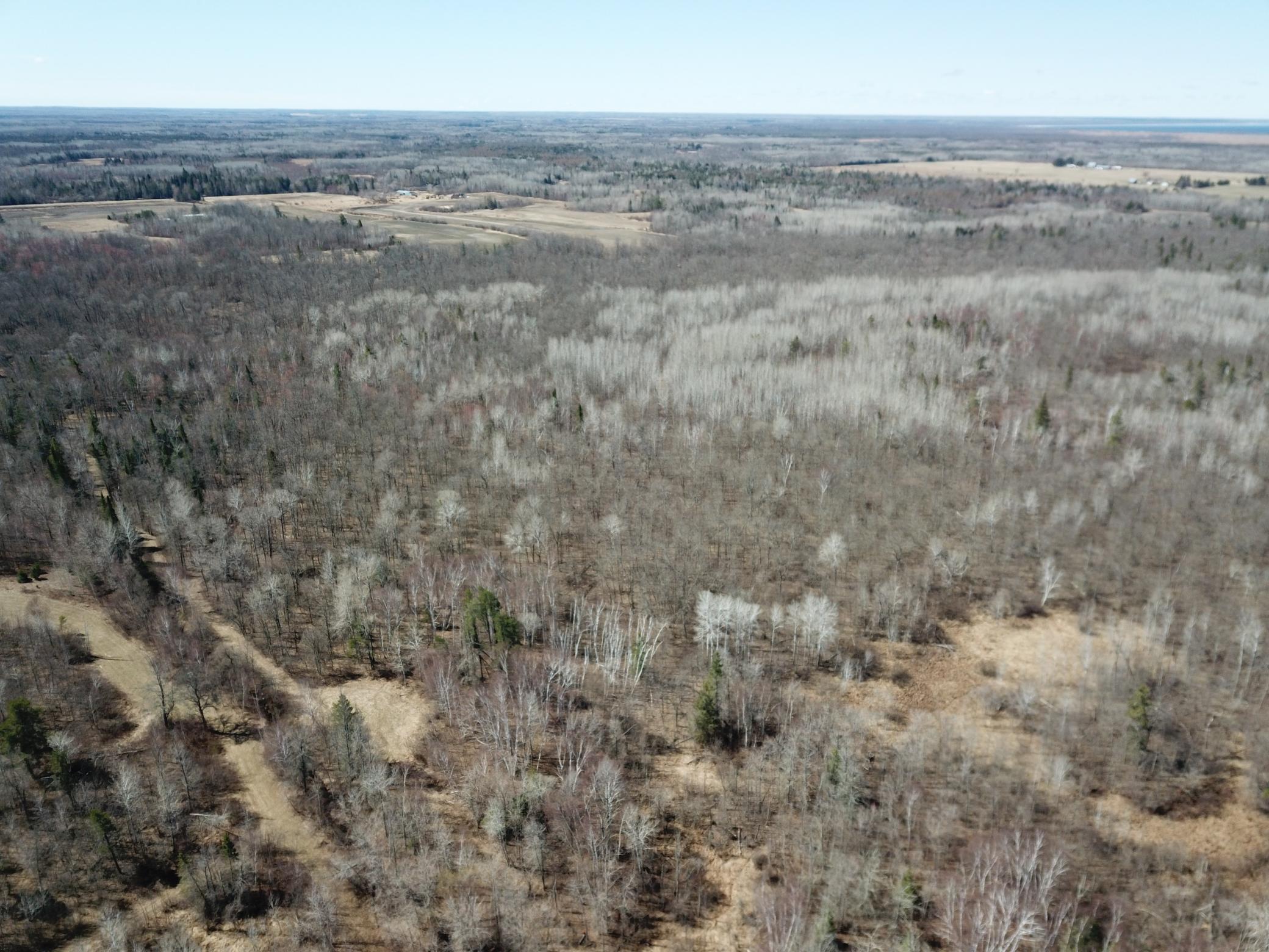 TBD Cormorant Road NE, Kelliher MN 56650 - Photo 9 of 76