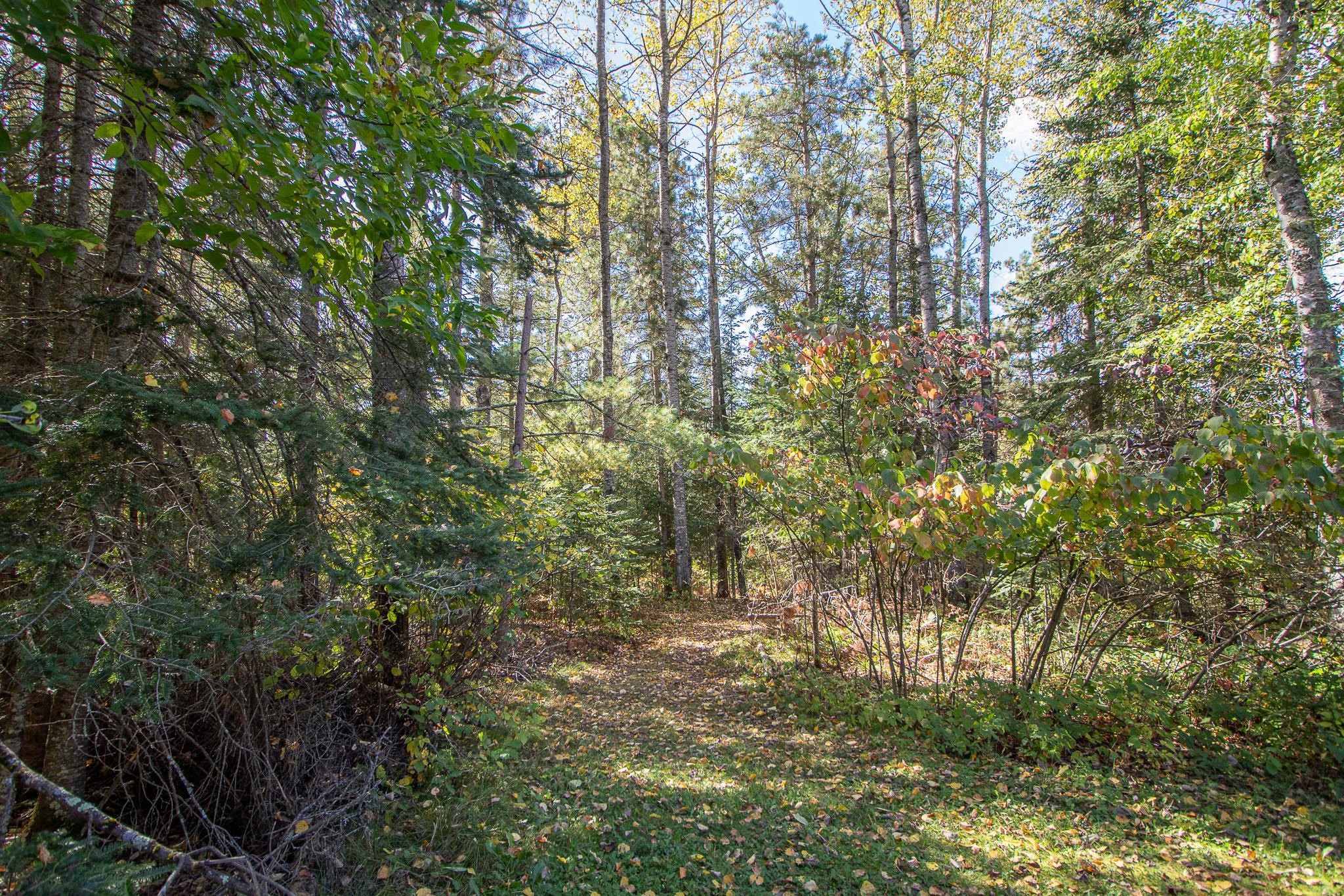 1003 Sunset Hill Road NE, Outing MN 56662 - Photo 55 of 56