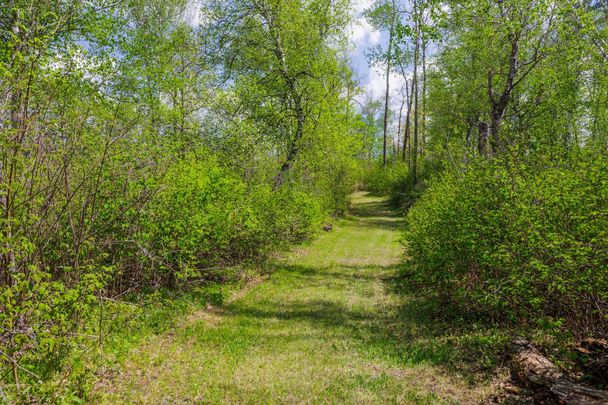 1980 single family home for sale at 16504 280th Street in Park Rapids, MN — 1 bed, 0 bath (photo 14 of 49)