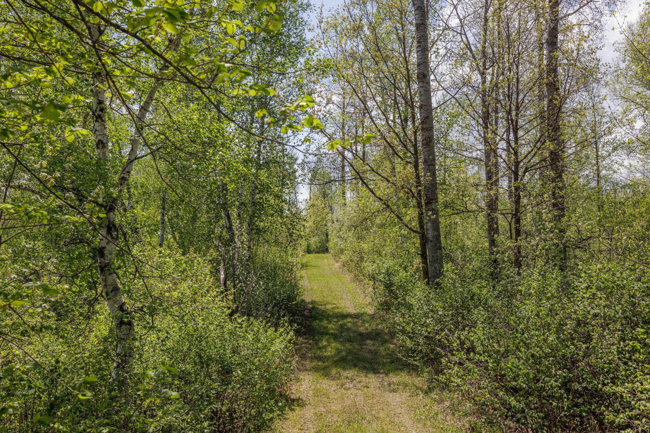 1980 single family home for sale at 16504 280th Street in Park Rapids, MN — 1 bed, 0 bath (photo 15 of 49)