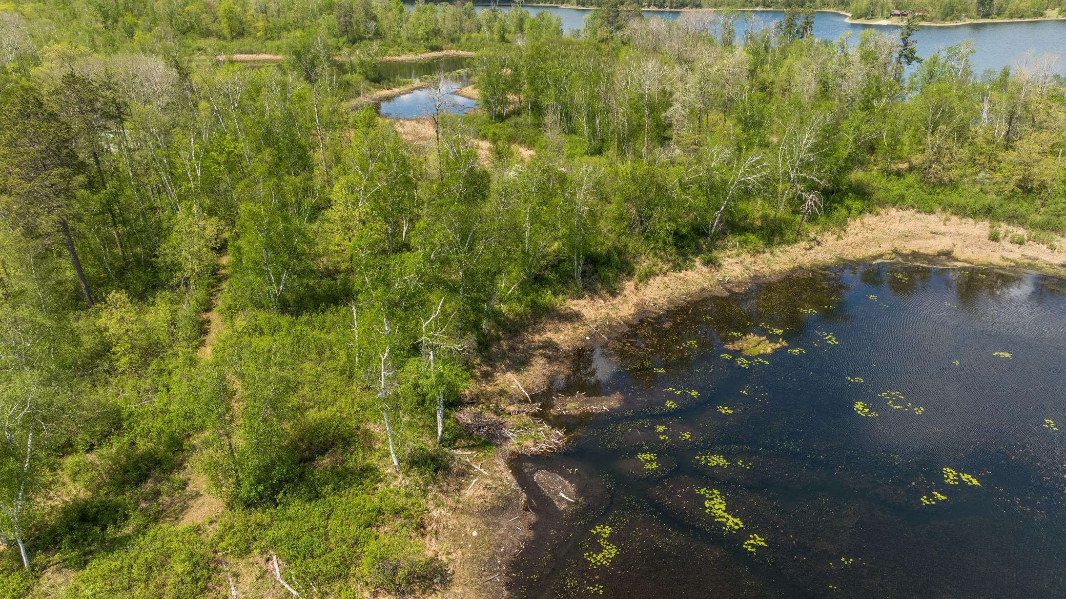 1980 single family home for sale at 16504 280th Street in Park Rapids, MN — 1 bed, 0 bath (photo 34 of 49)