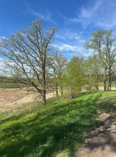 1904 single family home for sale at 16166 510th Avenue in Menahga, MN — 5 bed, 3 bath (photo 5 of 7)