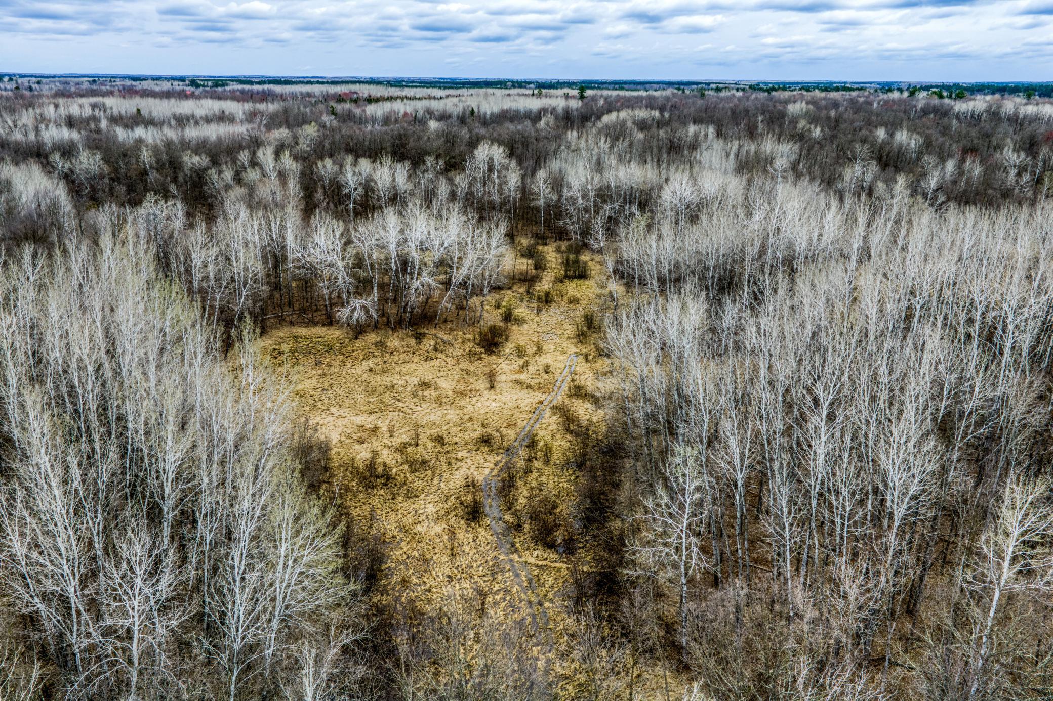 1990 land for sale at 13217 Beaver Road NE in Bemidji, MN (photo 2 of 25)