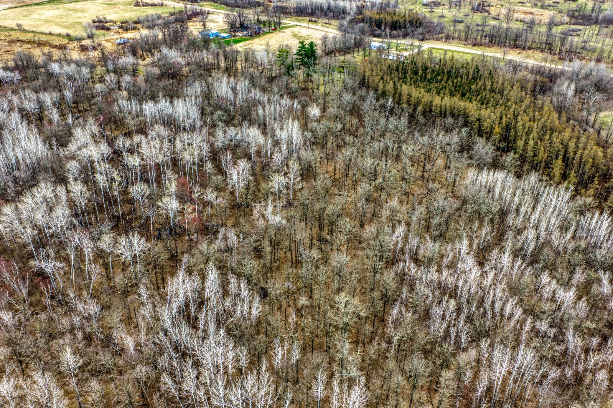 1990 land for sale at 13217 Beaver Road NE in Bemidji, MN (photo 11 of 25)