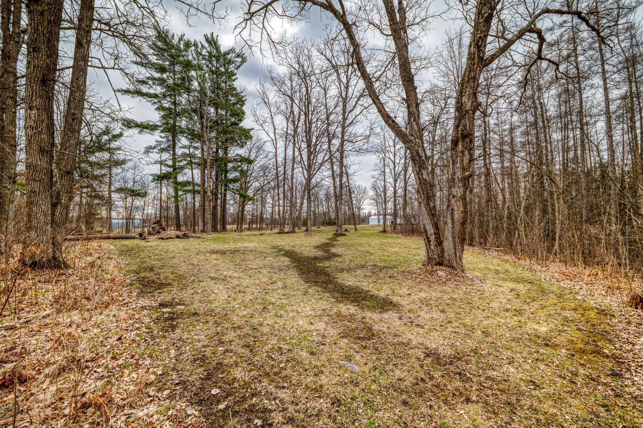 1990 land for sale at 13217 Beaver Road NE in Bemidji, MN (photo 3 of 25)