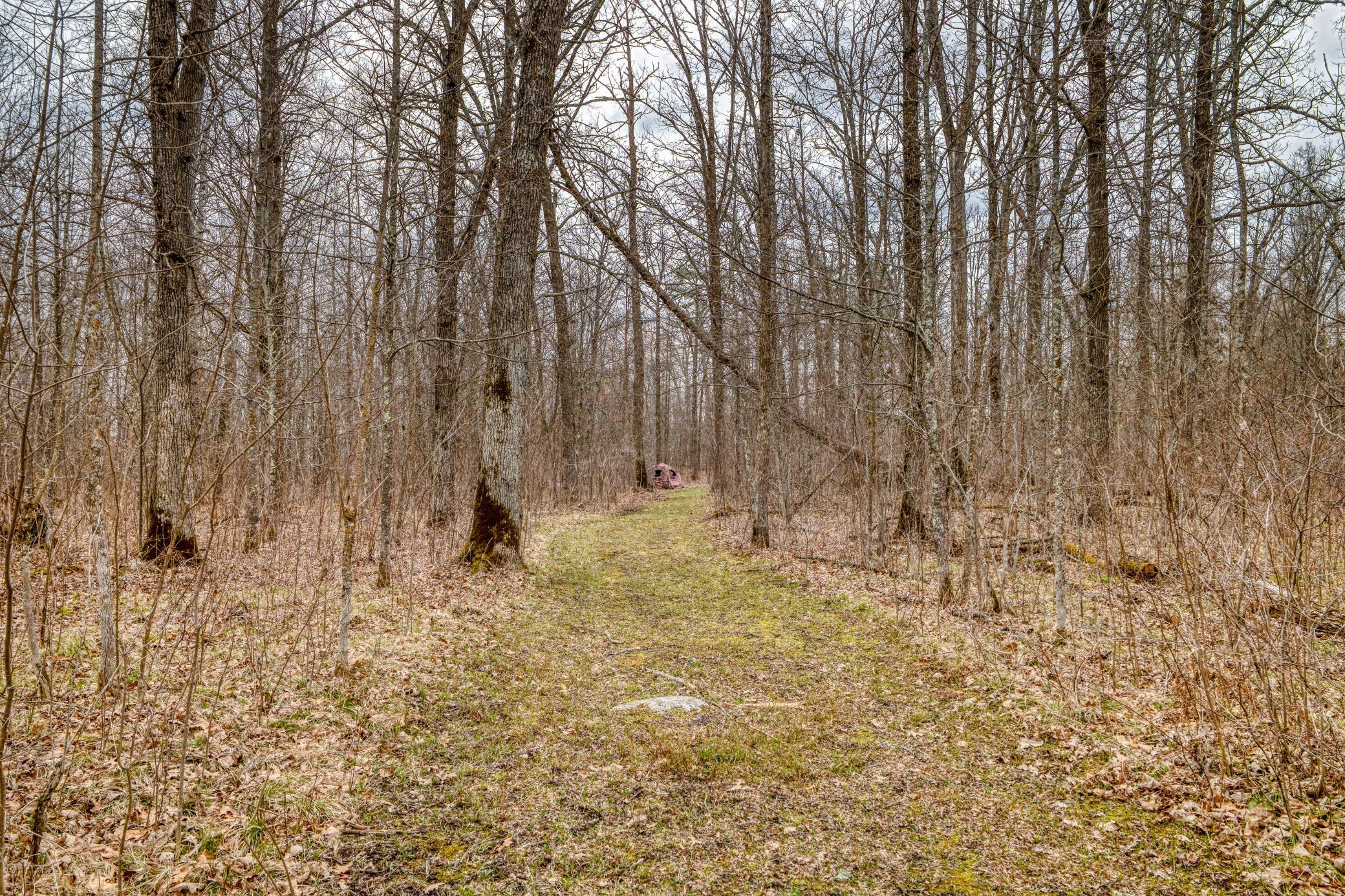 1990 land for sale at 13217 Beaver Road NE in Bemidji, MN (photo 4 of 25)
