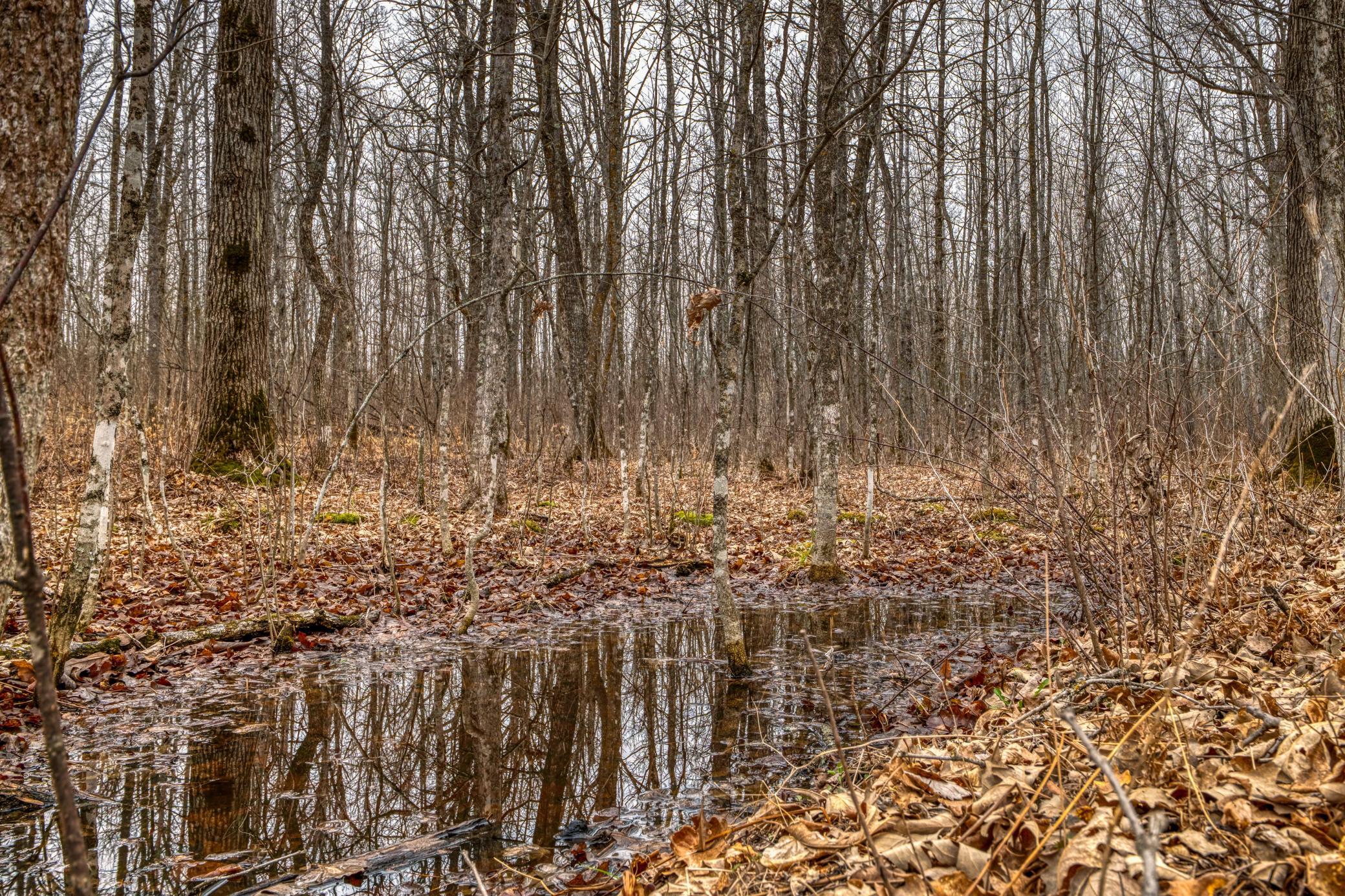 1990 land for sale at 13217 Beaver Road NE in Bemidji, MN (photo 5 of 25)