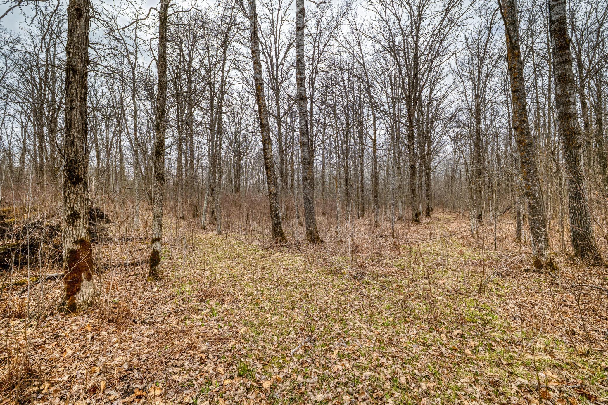 1990 land for sale at 13217 Beaver Road NE in Bemidji, MN (photo 6 of 25)