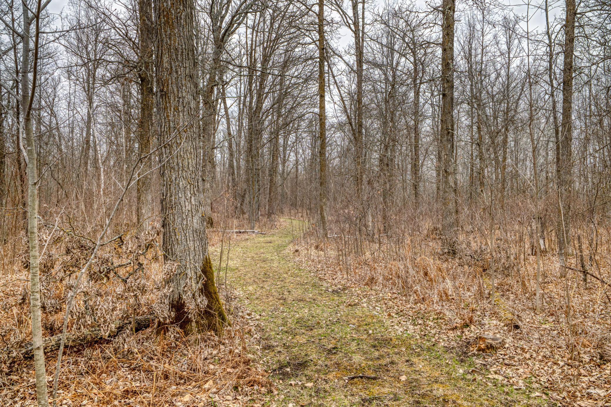 1990 land for sale at 13217 Beaver Road NE in Bemidji, MN (photo 7 of 25)