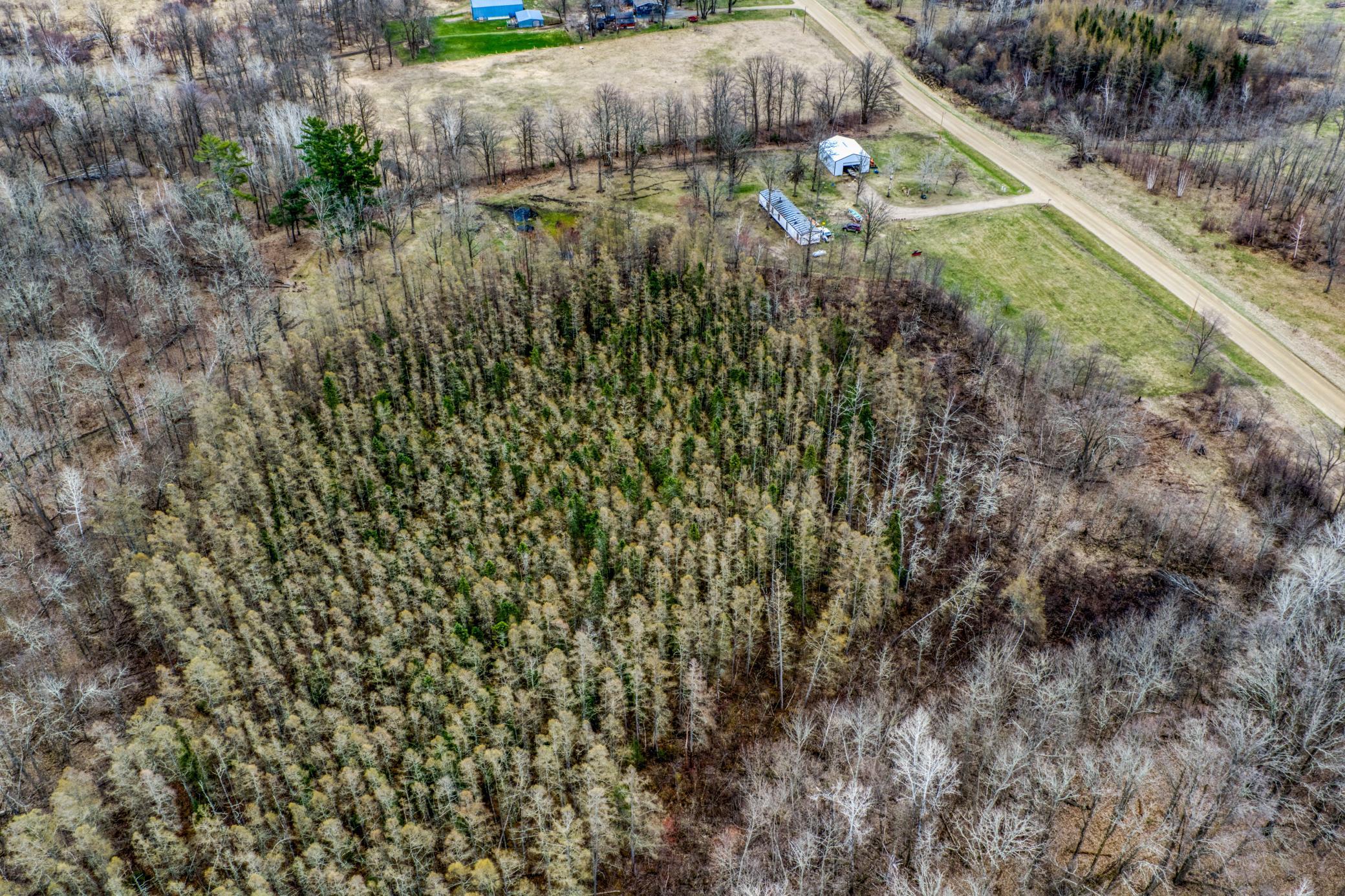 1990 land for sale at 13217 Beaver Road NE in Bemidji, MN (photo 9 of 25)