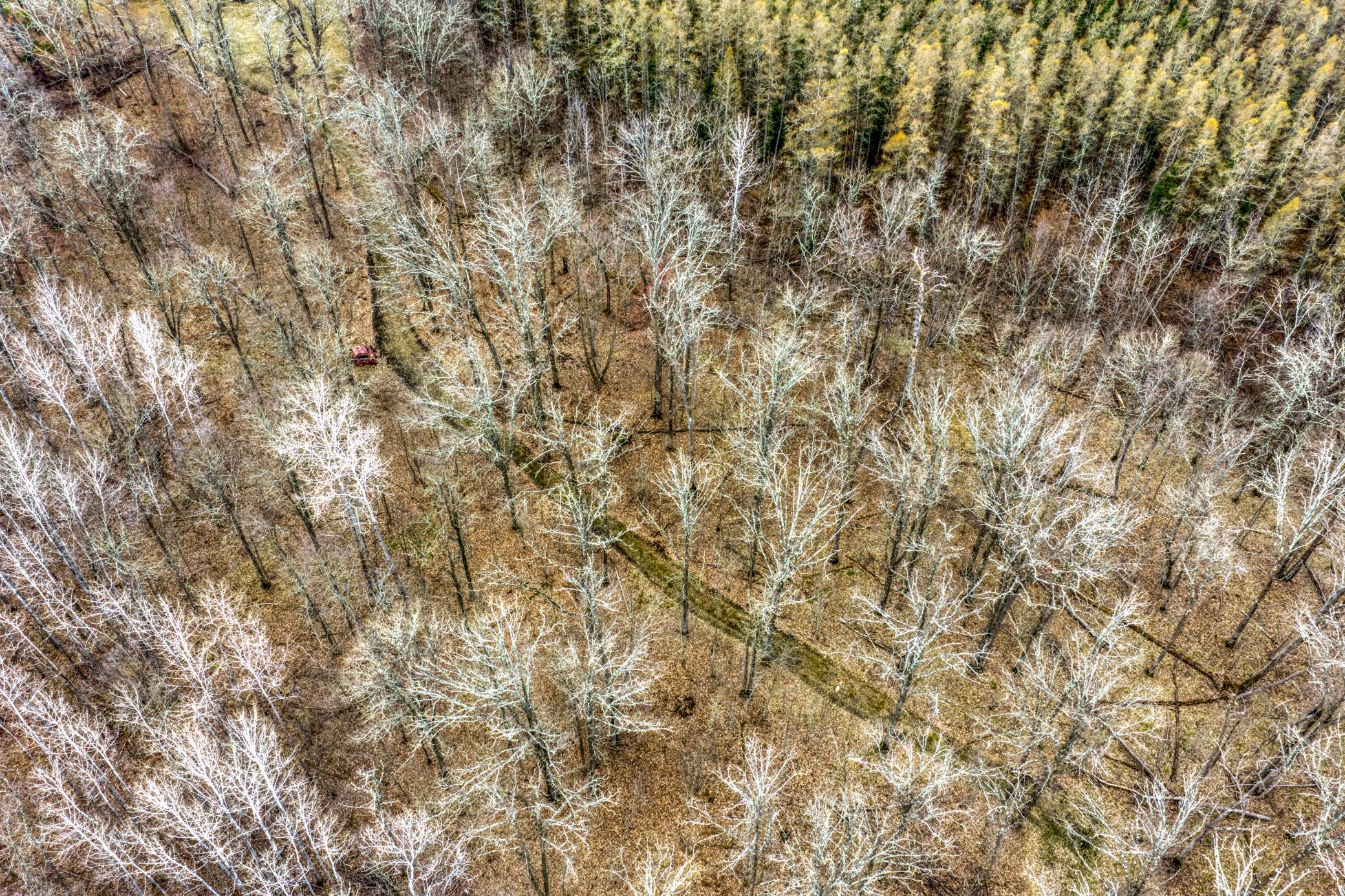 1990 land for sale at 13217 Beaver Road NE in Bemidji, MN (photo 10 of 25)