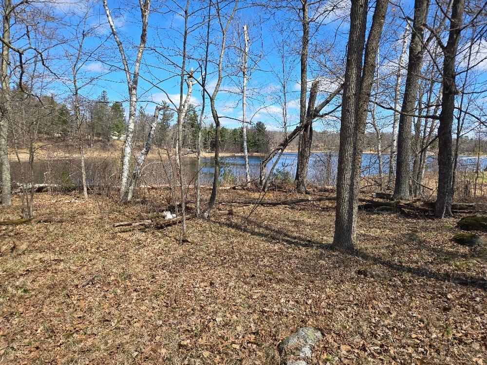 1470 Cardinal Lane NE, Longville MN 56655 - Photo 2 of 9