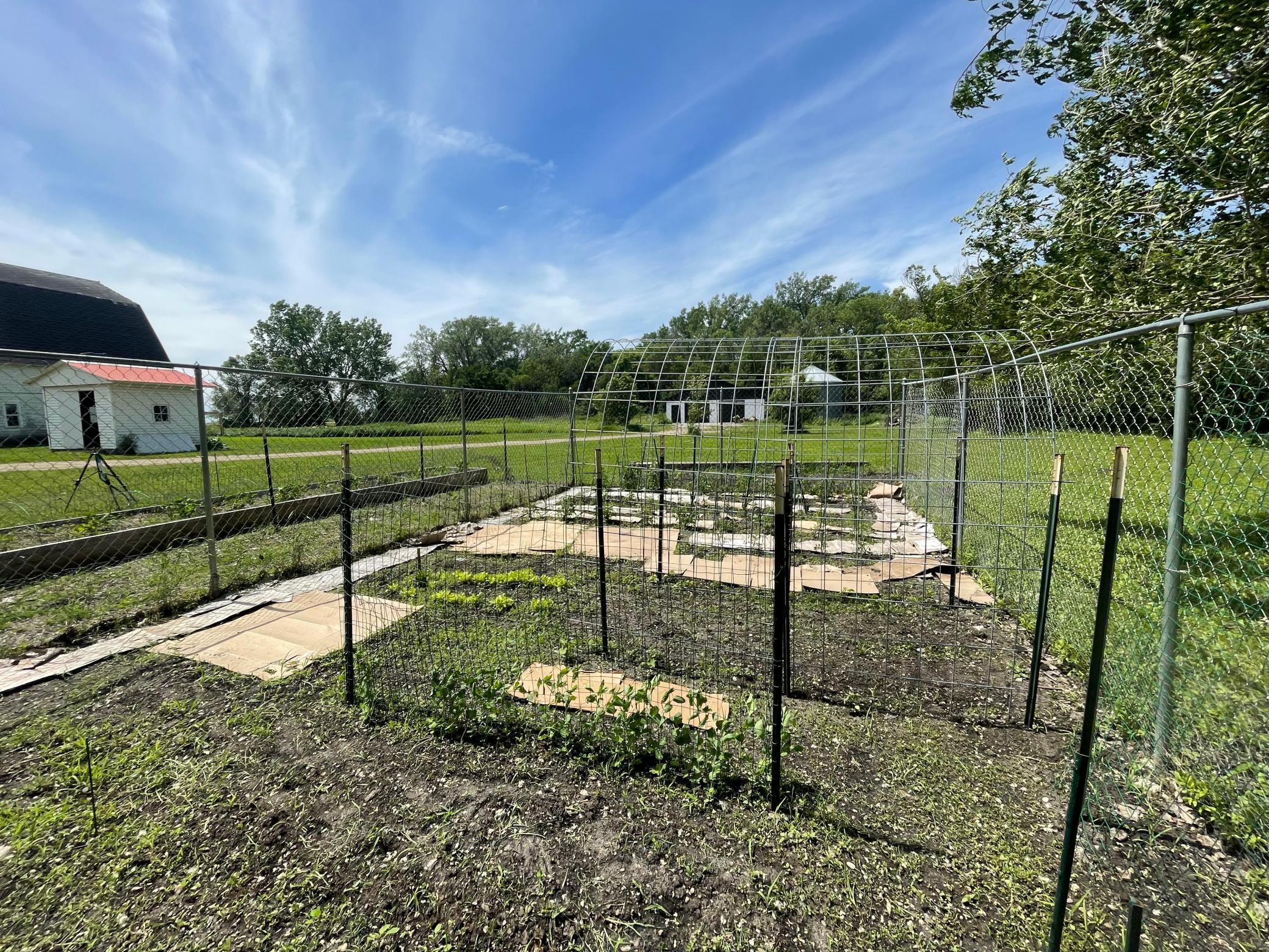 1960 single family home for sale at 6894 150th Avenue N in Felton, MN — 3 bed, 2 bath (photo 28 of 40)