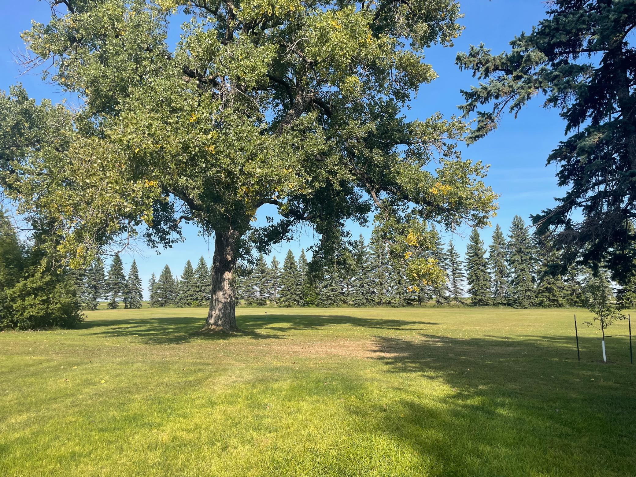 1960 single family home for sale at 6894 150th Avenue N in Felton, MN — 3 bed, 2 bath (photo 34 of 40)