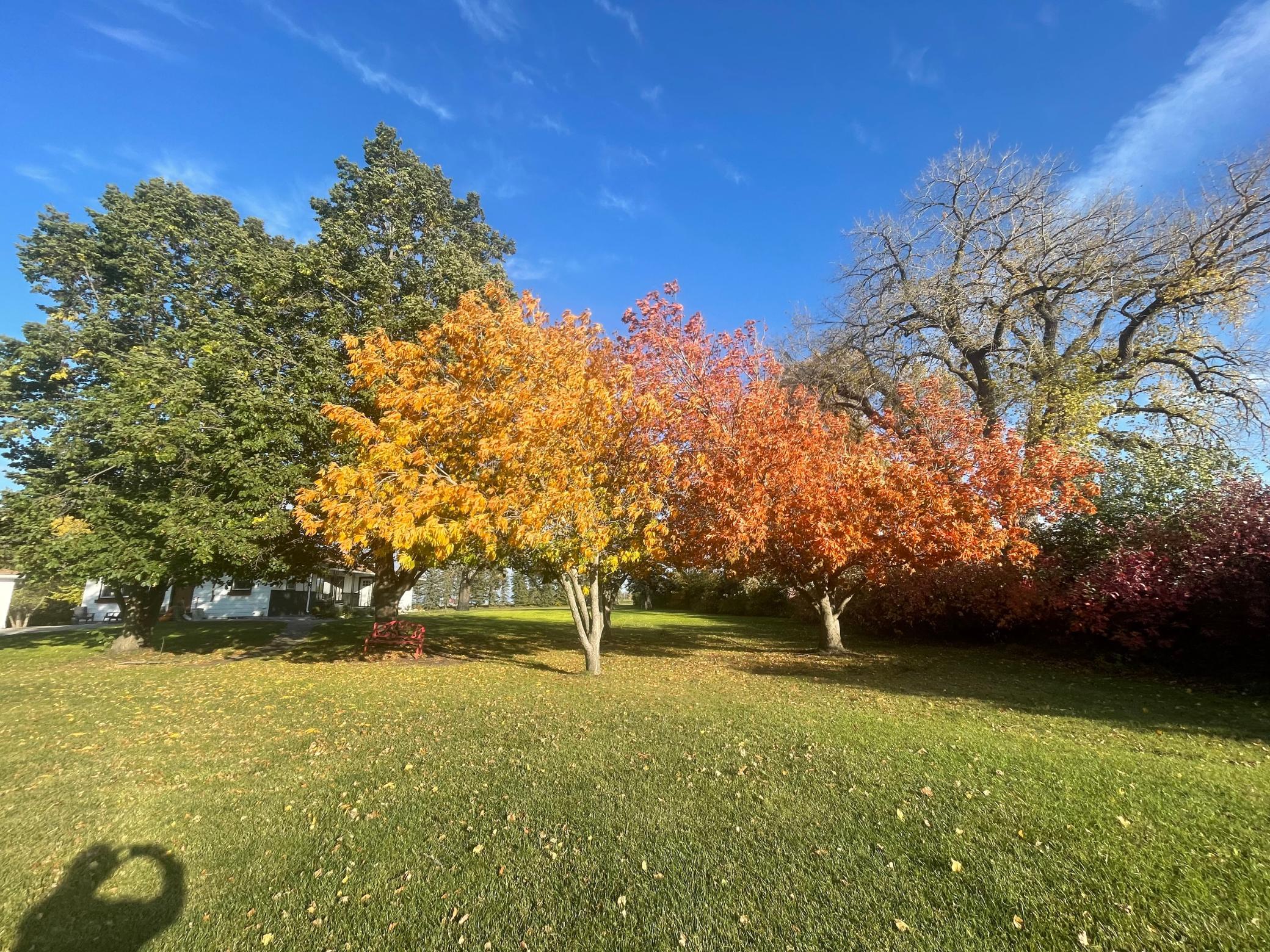 1960 single family home for sale at 6894 150th Avenue N in Felton, MN — 3 bed, 2 bath (photo 38 of 40)