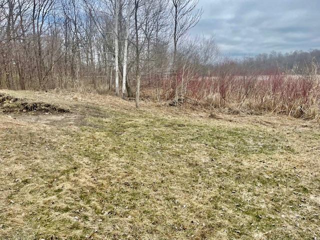 2018 single family home for sale at 35810 Govern Road in Richville, MN — 1 bed, 1 bath (photo 31 of 41)
