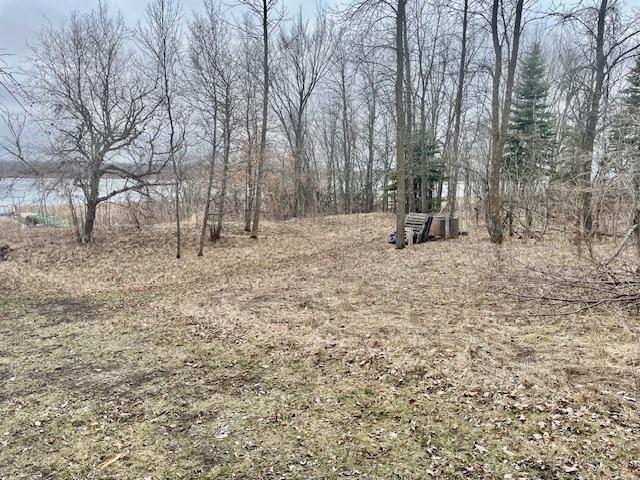 2018 single family home for sale at 35810 Govern Road in Richville, MN — 1 bed, 1 bath (photo 34 of 41)