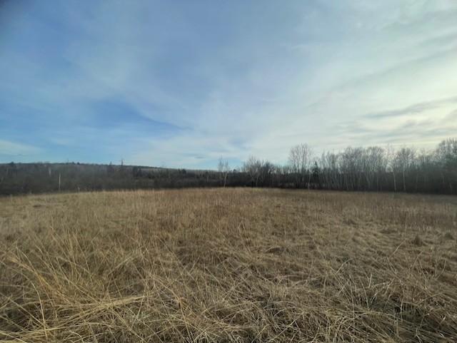 TBD Zuni, Breezy Point MN 56472 - Photo 10 of 14