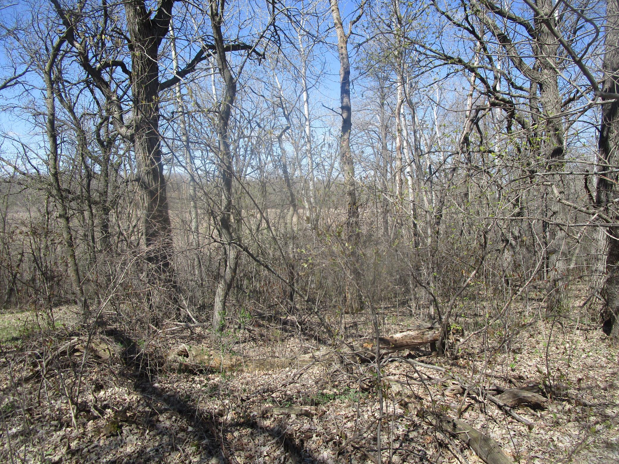 land for sale at TBD Burgen Terrace SE in Alexandria, MN (photo 3 of 6)