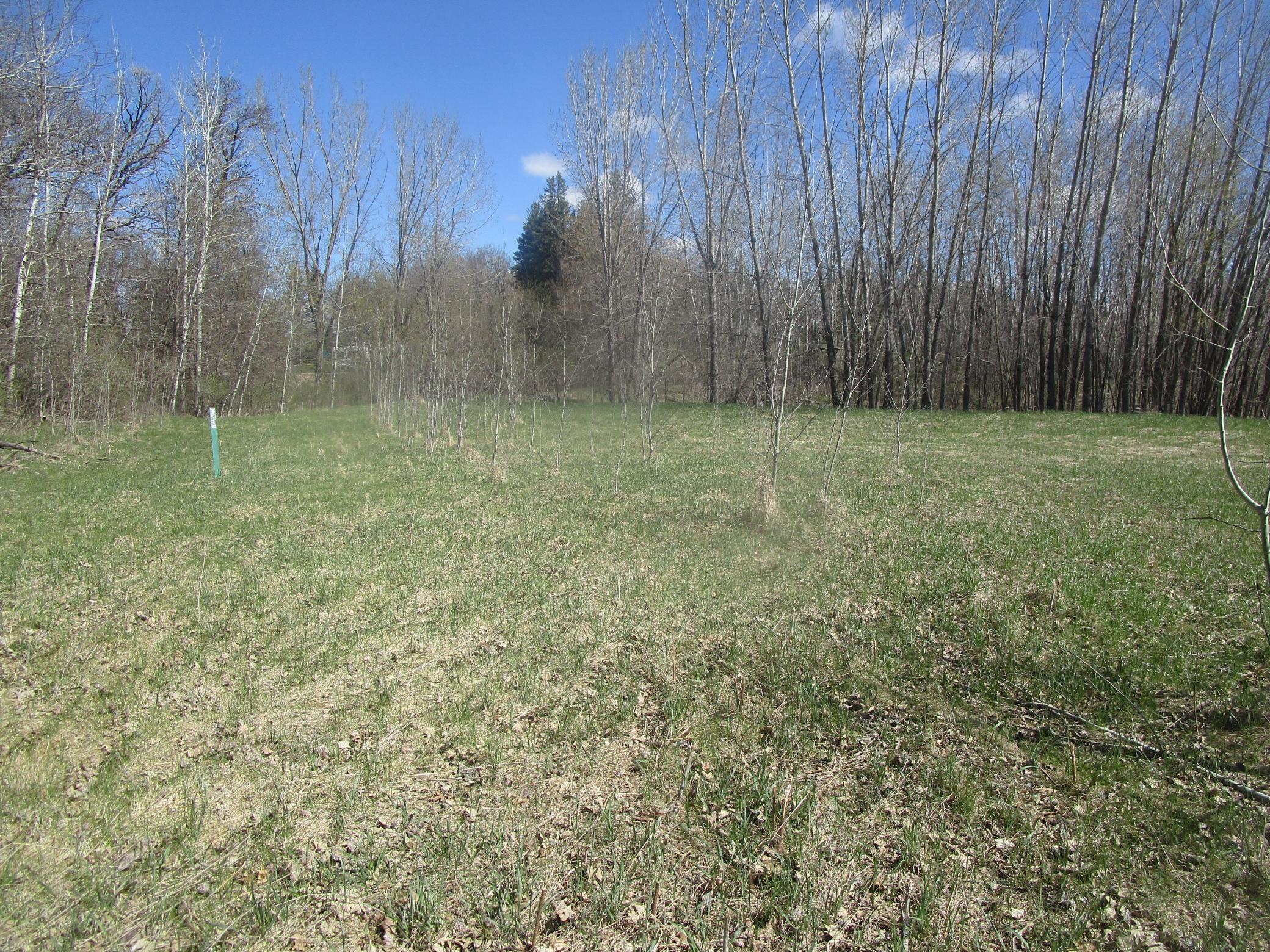 land for sale at TBD Burgen Terrace SE in Alexandria, MN (photo 4 of 6)