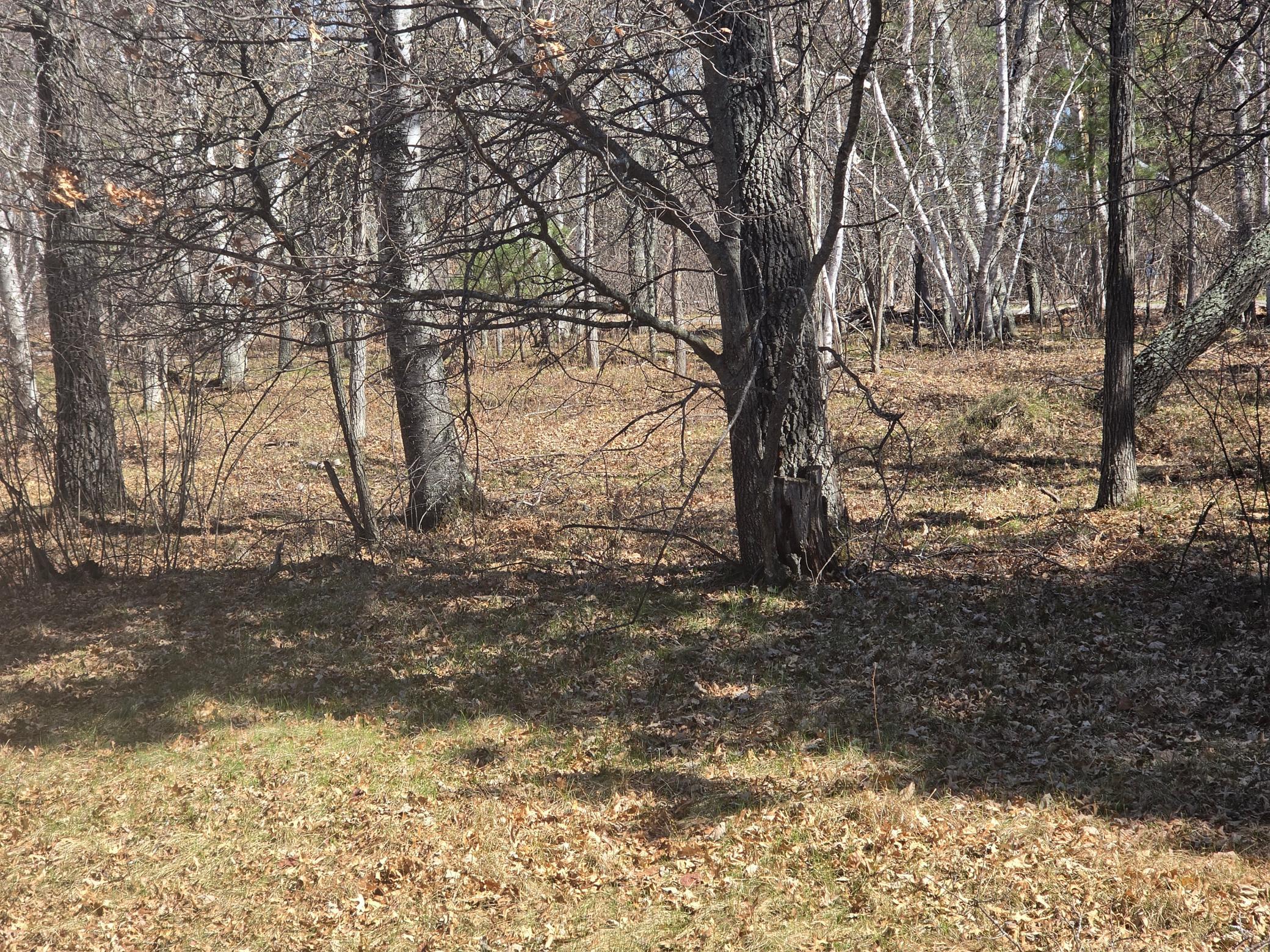 land for sale at 34xxx Lot 2 Happy Landing Road in Cross Lake, MN (photo 5 of 5)