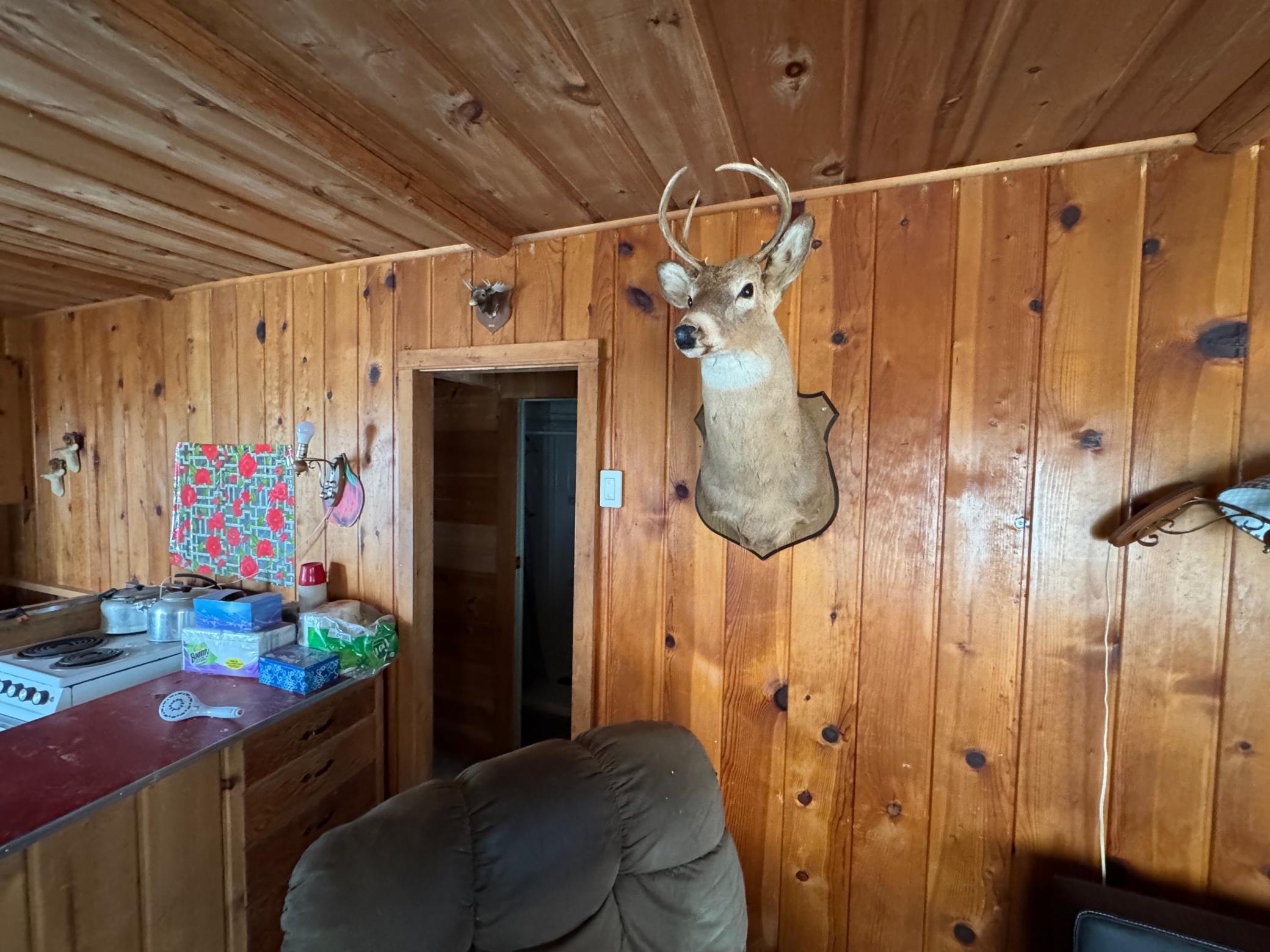 25845 Lou Rayne Beach Road NE, Waskish MN 56685 - Photo 12 of 17