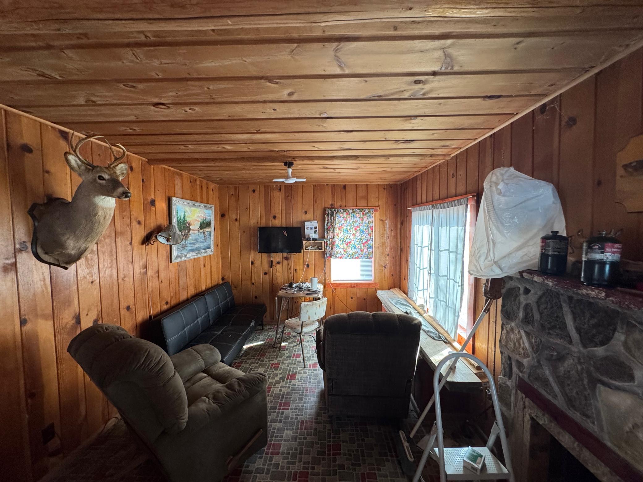 25845 Lou Rayne Beach Road NE, Waskish MN 56685 - Photo 10 of 17