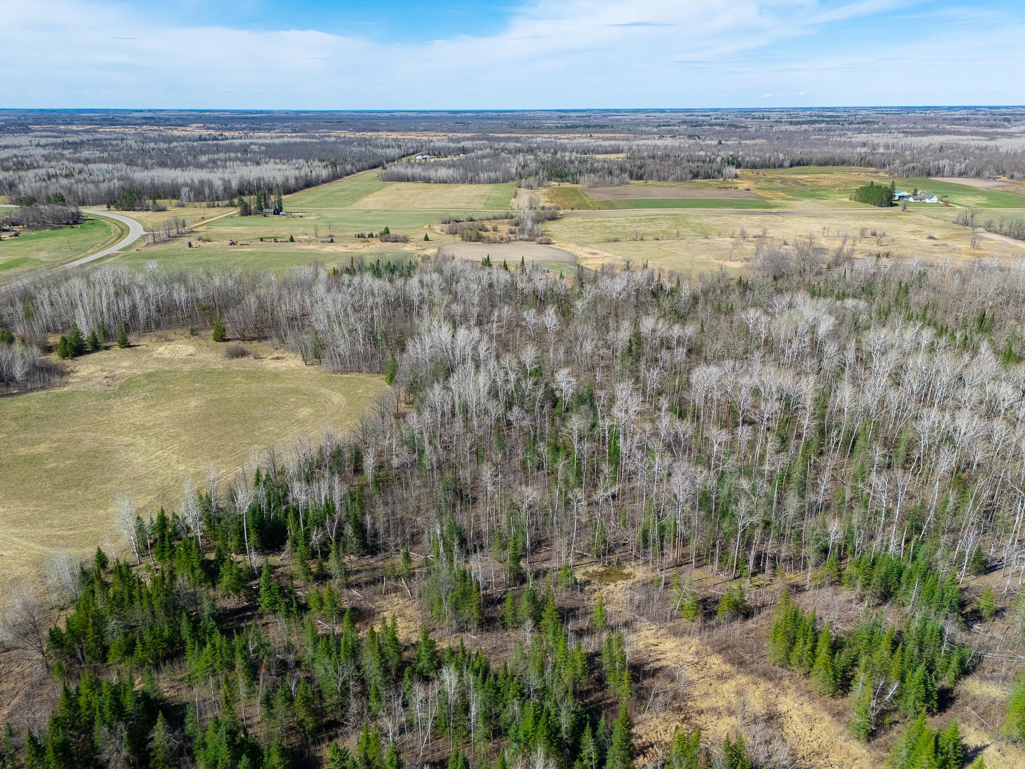 land for sale at TBD County 63 in Boy River, MN
