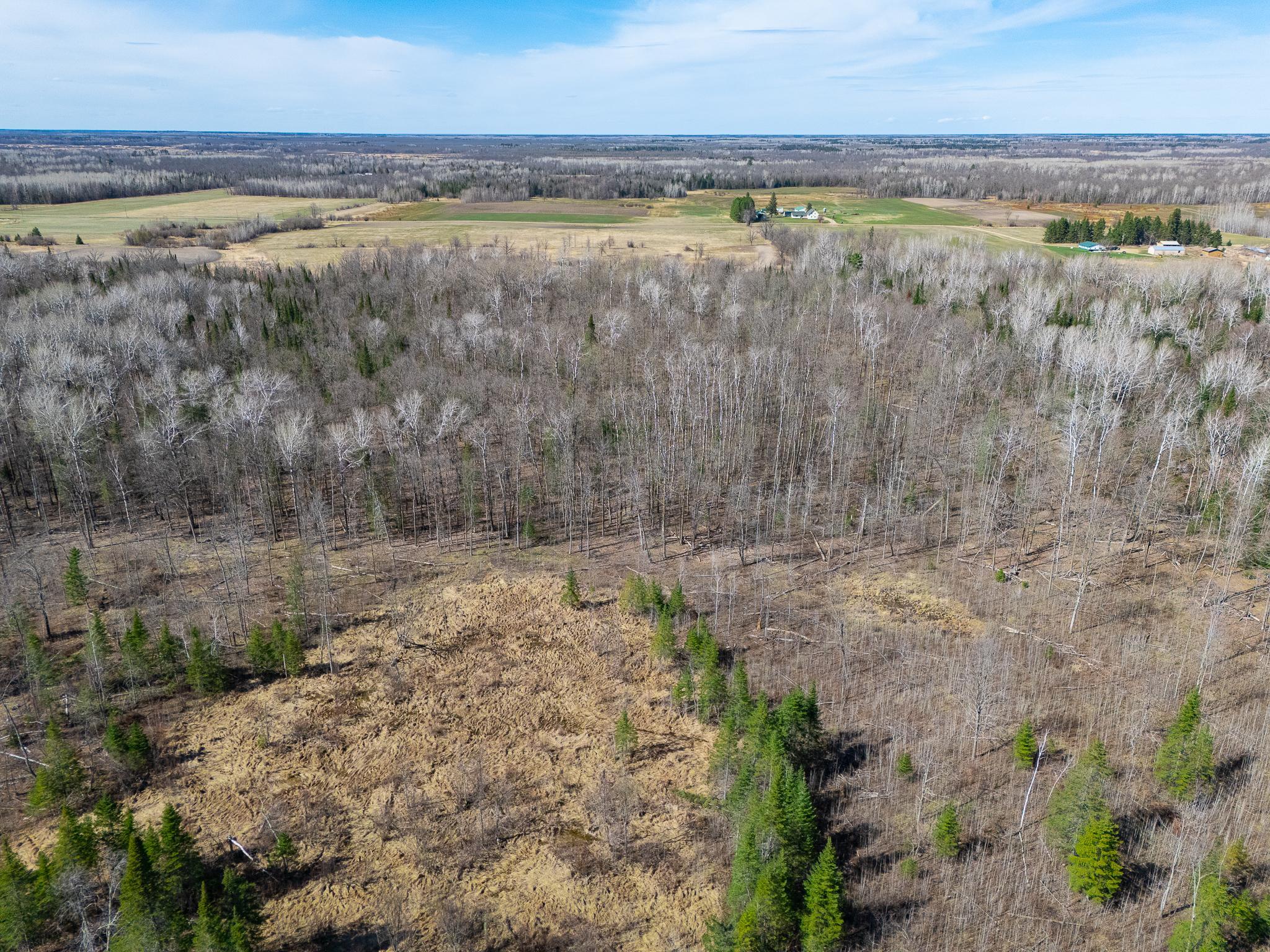 land for sale at TBD County 63 in Boy River, MN (photo 2 of 22)