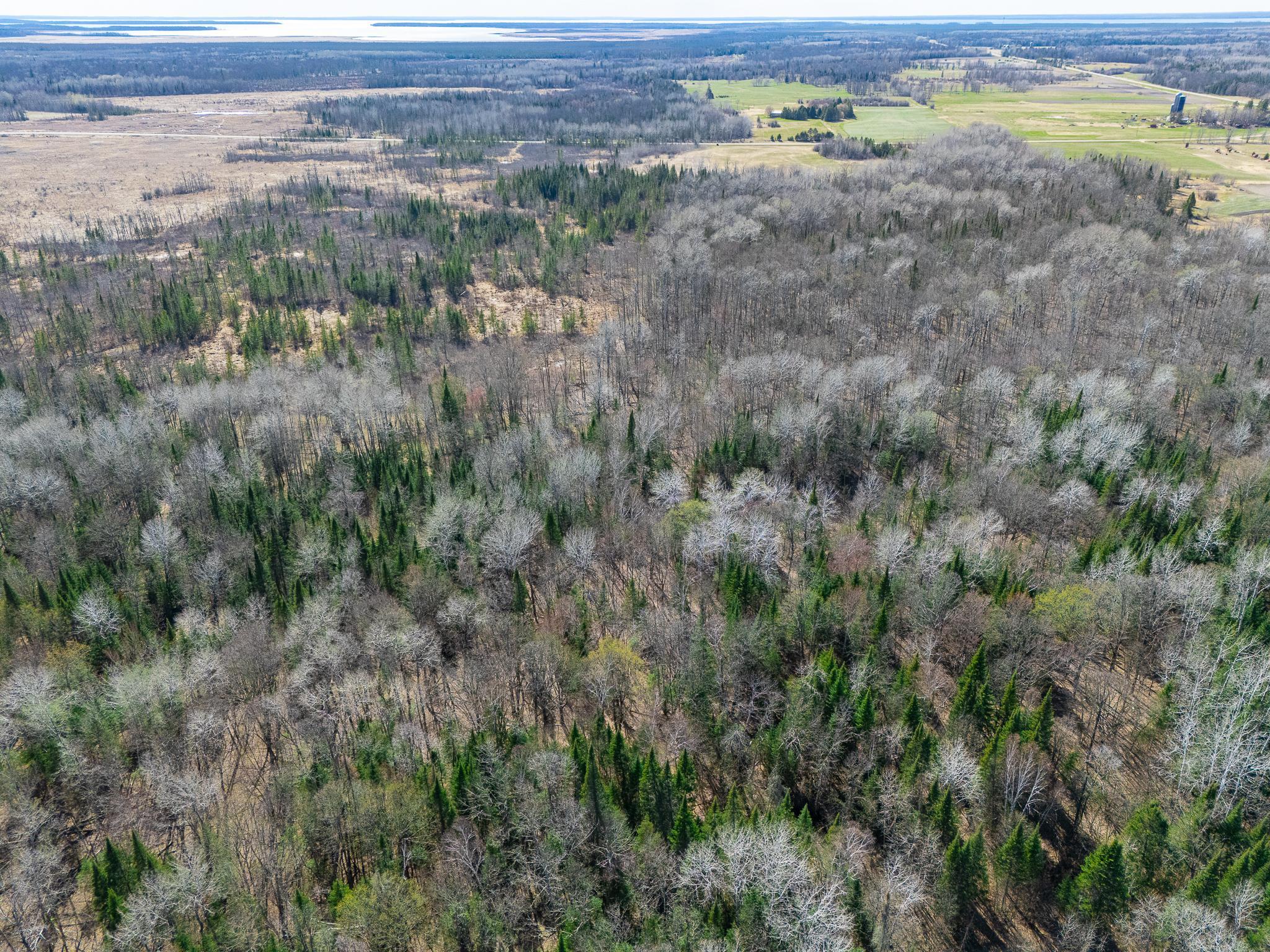 land for sale at TBD County 63 in Boy River, MN (photo 11 of 22)
